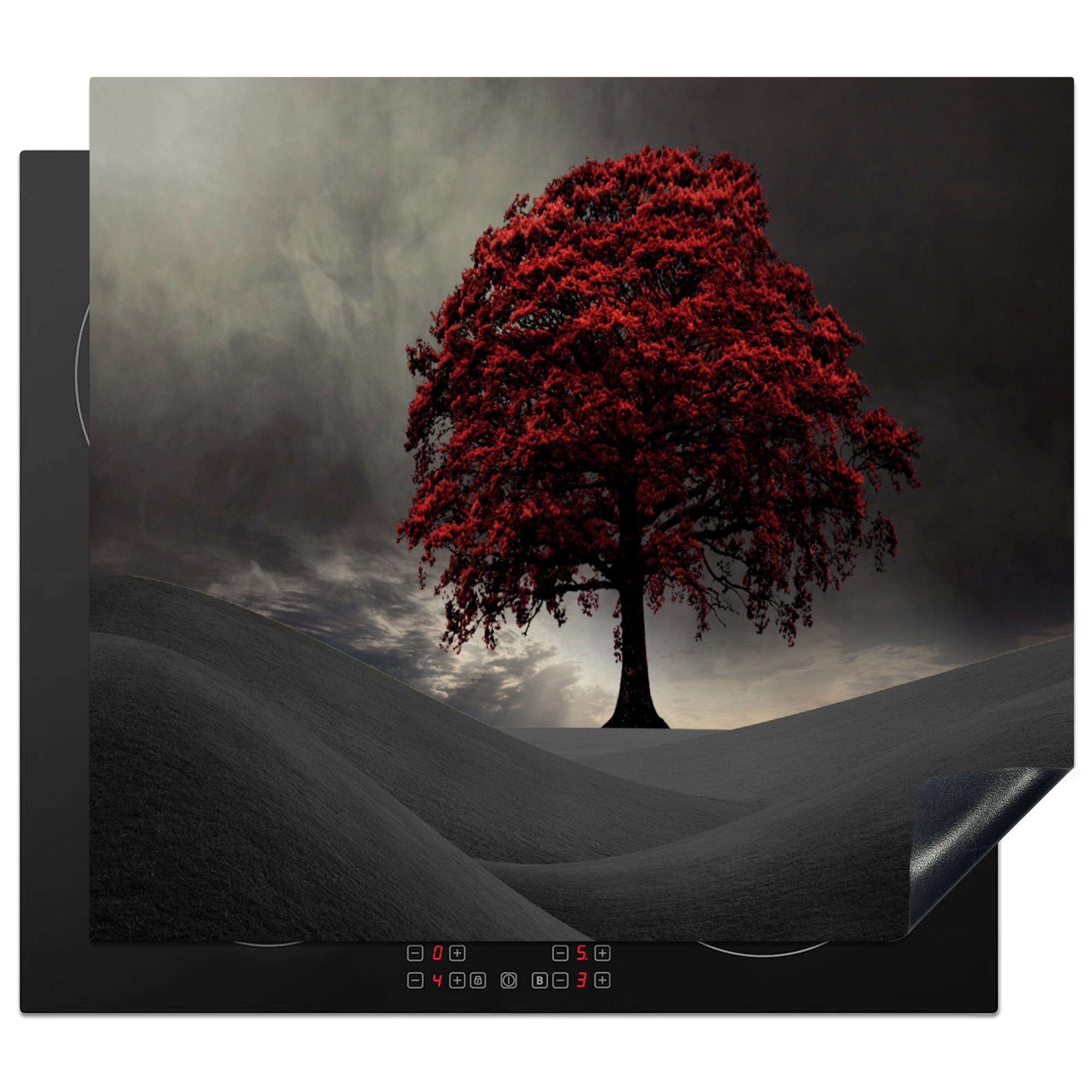 MuchoWow (1 einem großen roten Arbeitsfläche Ceranfeldabdeckung nutzbar, tlg), Mobile Herdblende-/Abdeckplatte Schwarz-Weiß-Foto cm, 60x52 mit Baum, Vinyl, Ein