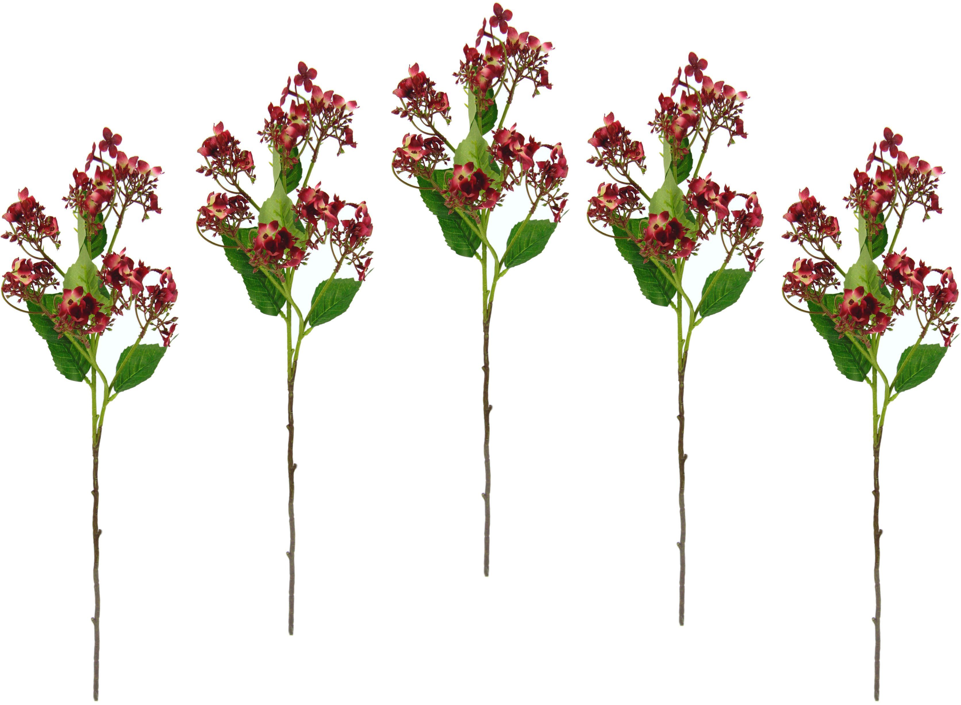 5er Kunstpflanze, cm, Höhe Zweig, Blütenzweig, Set 60 burgund Dekozweig I.GE.A., Kunstblume künstlicher