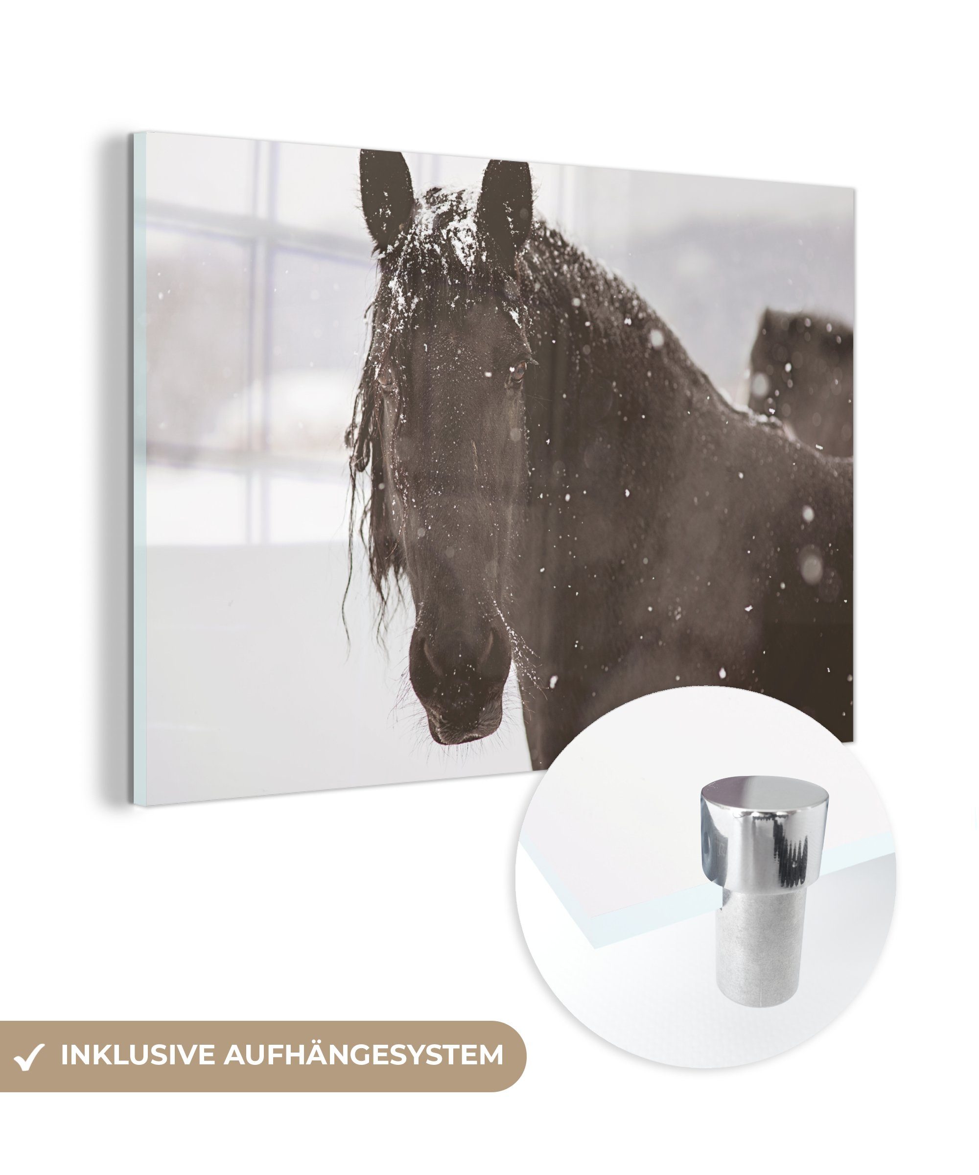 MuchoWow Acrylglasbild Friesisches Pferd im Schnee, (1 St), Acrylglasbilder Wohnzimmer & Schlafzimmer