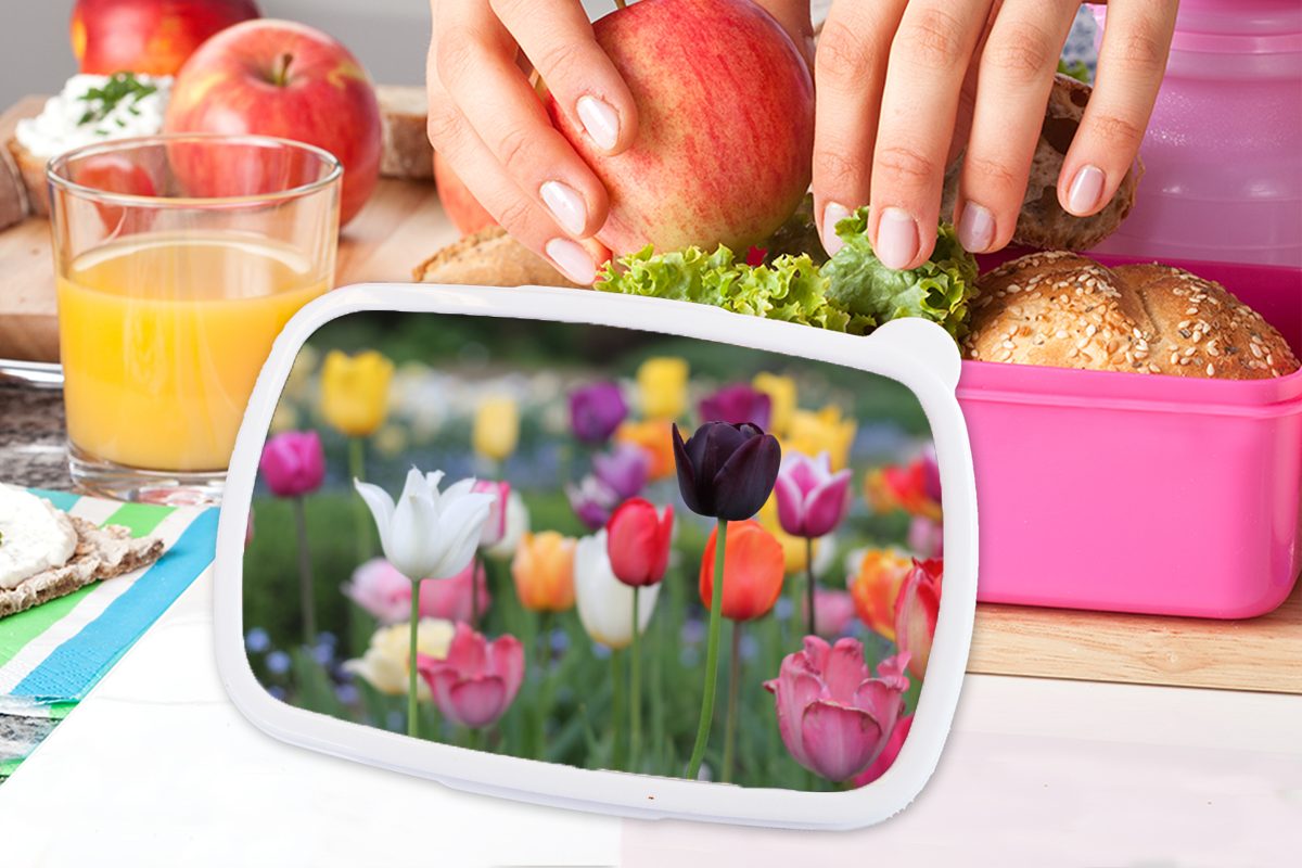 Ein Brotdose Brotbox Snackbox, Tulpen, für Mädchen, MuchoWow rosa Kunststoff, bunter voller Erwachsene, Kinder, Kunststoff Feld (2-tlg), Lunchbox