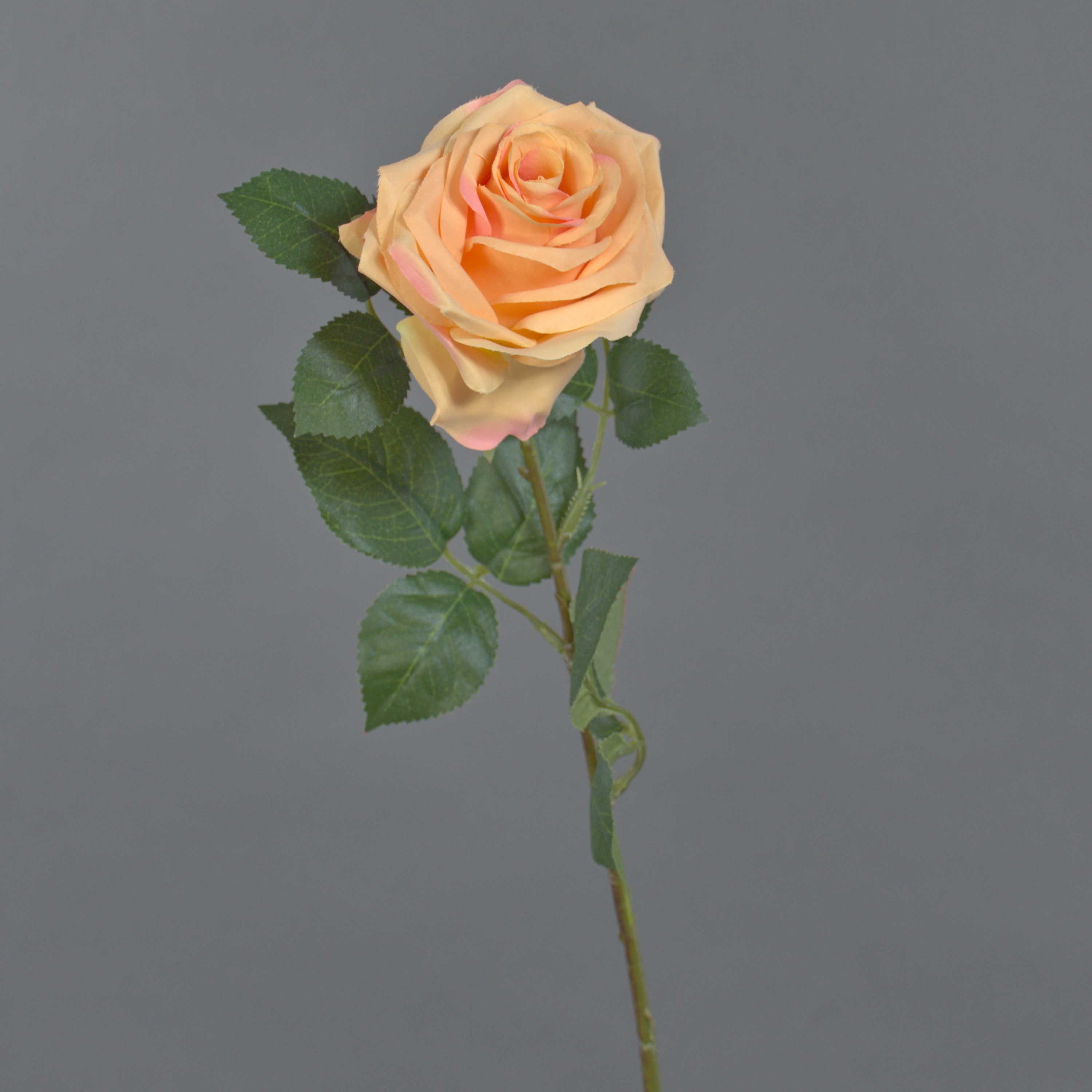 Kunstblume Kunstrose Kailin, lachs-rosa, 65 cm Rose, artplants, Höhe 65.0 cm