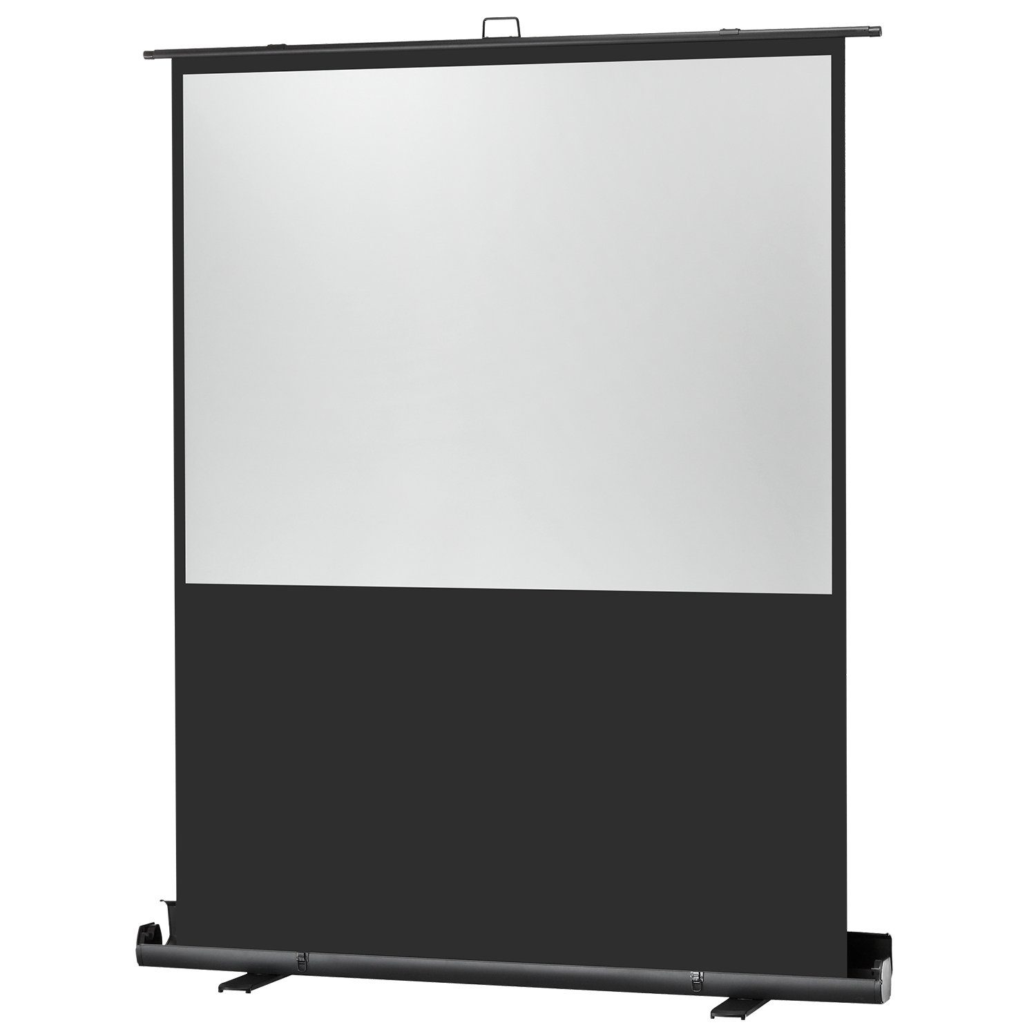 Celexon Professional Plus Pull-Up-Leinwand (schwarze Rückseite)