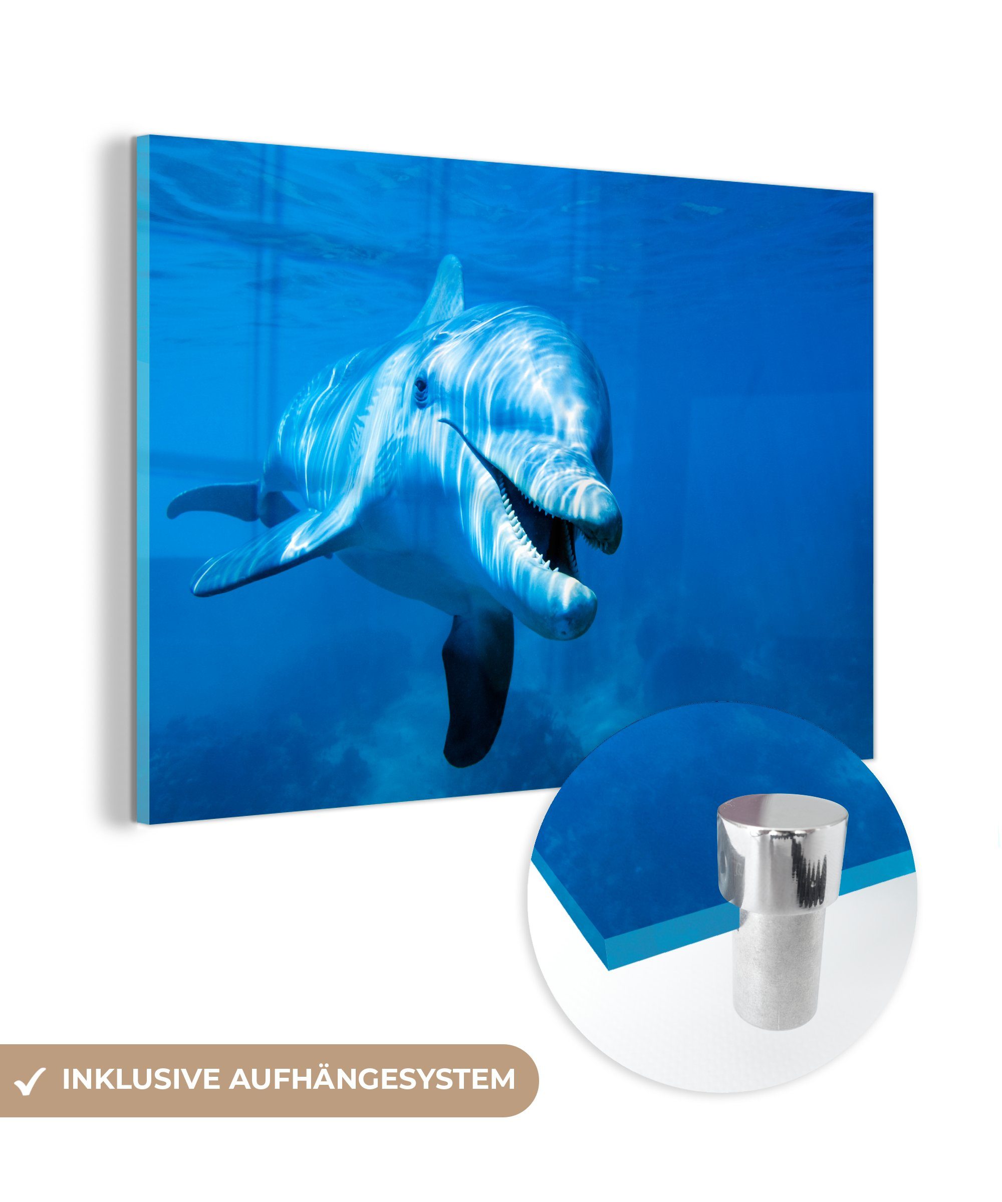 St), Wohnzimmer (1 Meer, - Schlafzimmer Wasser & - Acrylglasbilder MuchoWow Acrylglasbild Delfin