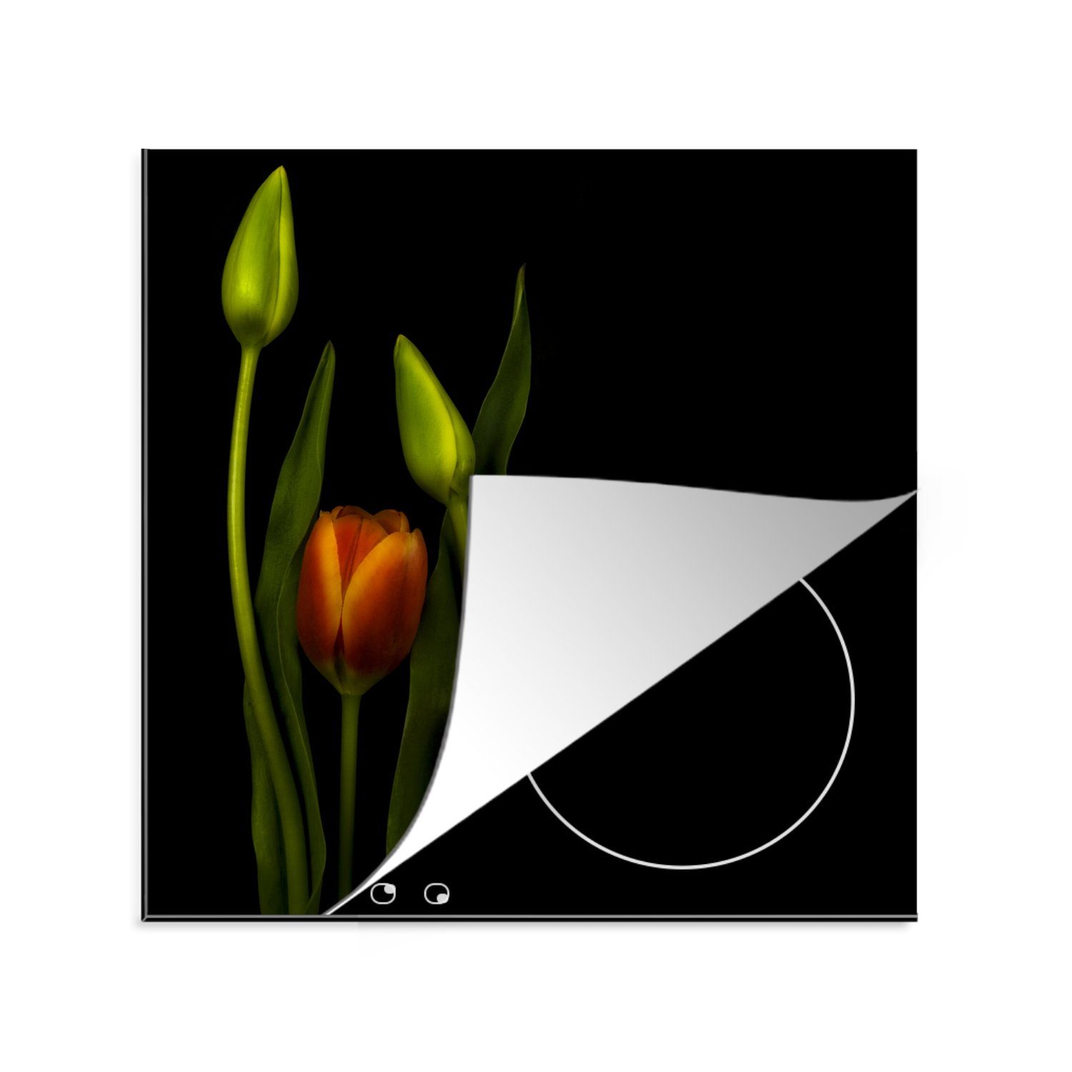 MuchoWow Herdblende-/Abdeckplatte Orangefarbene Tulpen und Tulpenknospen vor einem schwarzen Hintergrund, Vinyl, (1 tlg), 78x78 cm, Ceranfeldabdeckung, Arbeitsplatte für küche