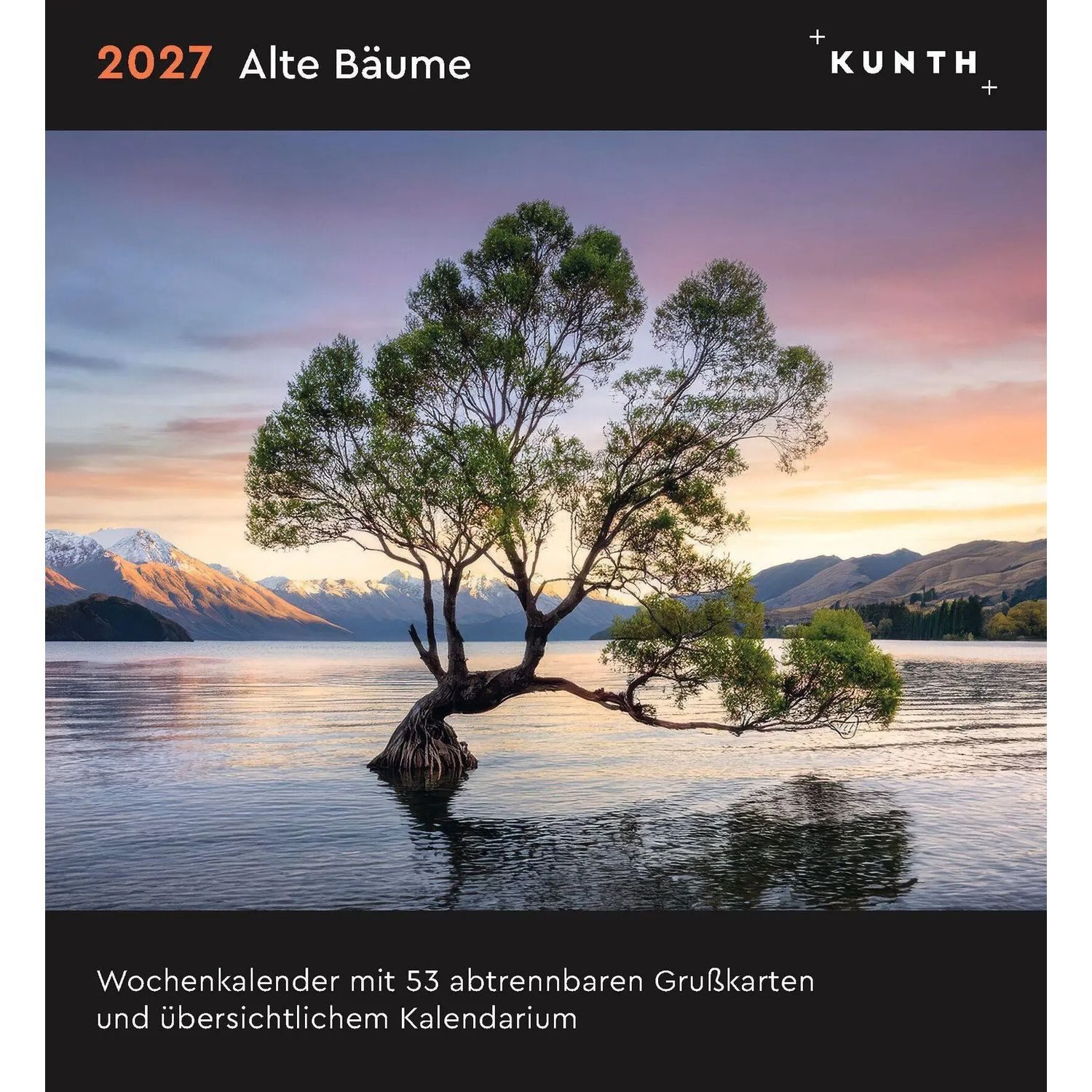 Tischkalender Alte Bäume - KUNTH Postkartenkalender 2027
