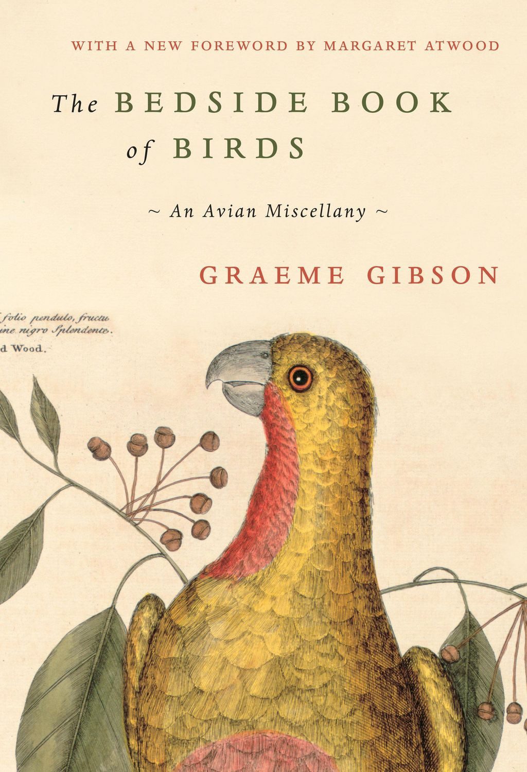 The Bedside Book of Birds / Graeme Gibson