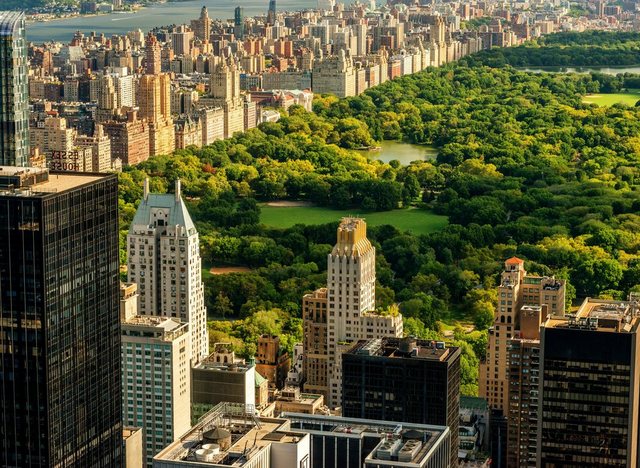 Papermoon Fototapete »Central Park Manhattan«, glatt-Otto