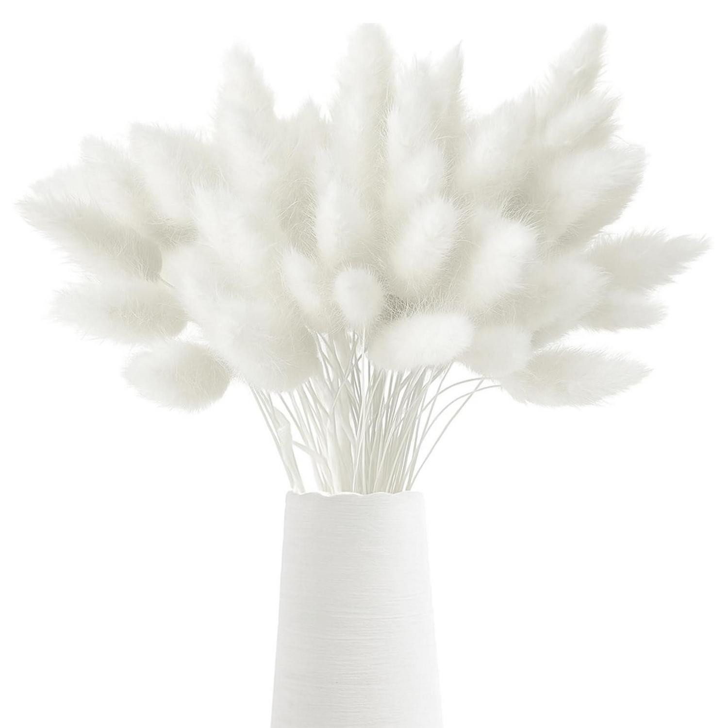 Trockenblume Trockenblumen Pampasgras Klein Weiss 120St, LuxusKollektion, Höhe 10 cm