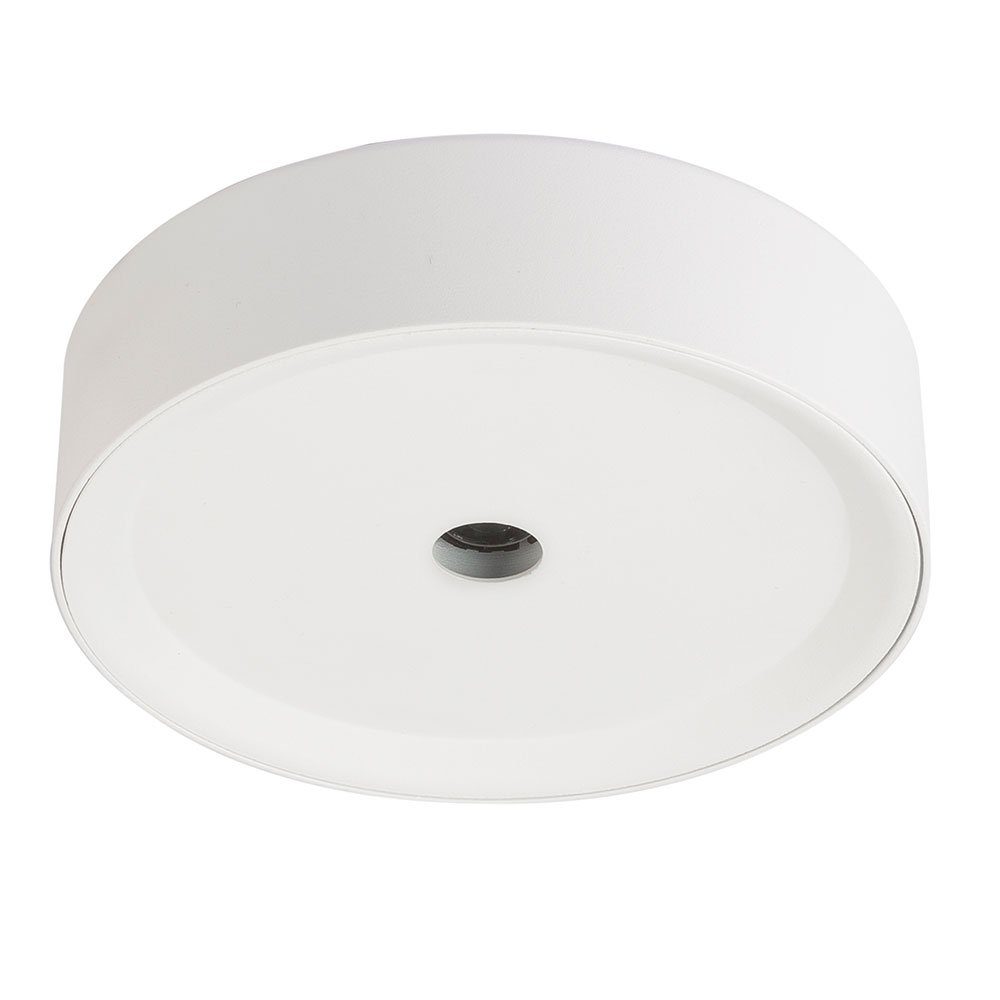 GLOBO LIGHTING LED Deckenleuchte, LED-Leuchtmittel fest verbaut, Warmweiß, günstig online kaufen