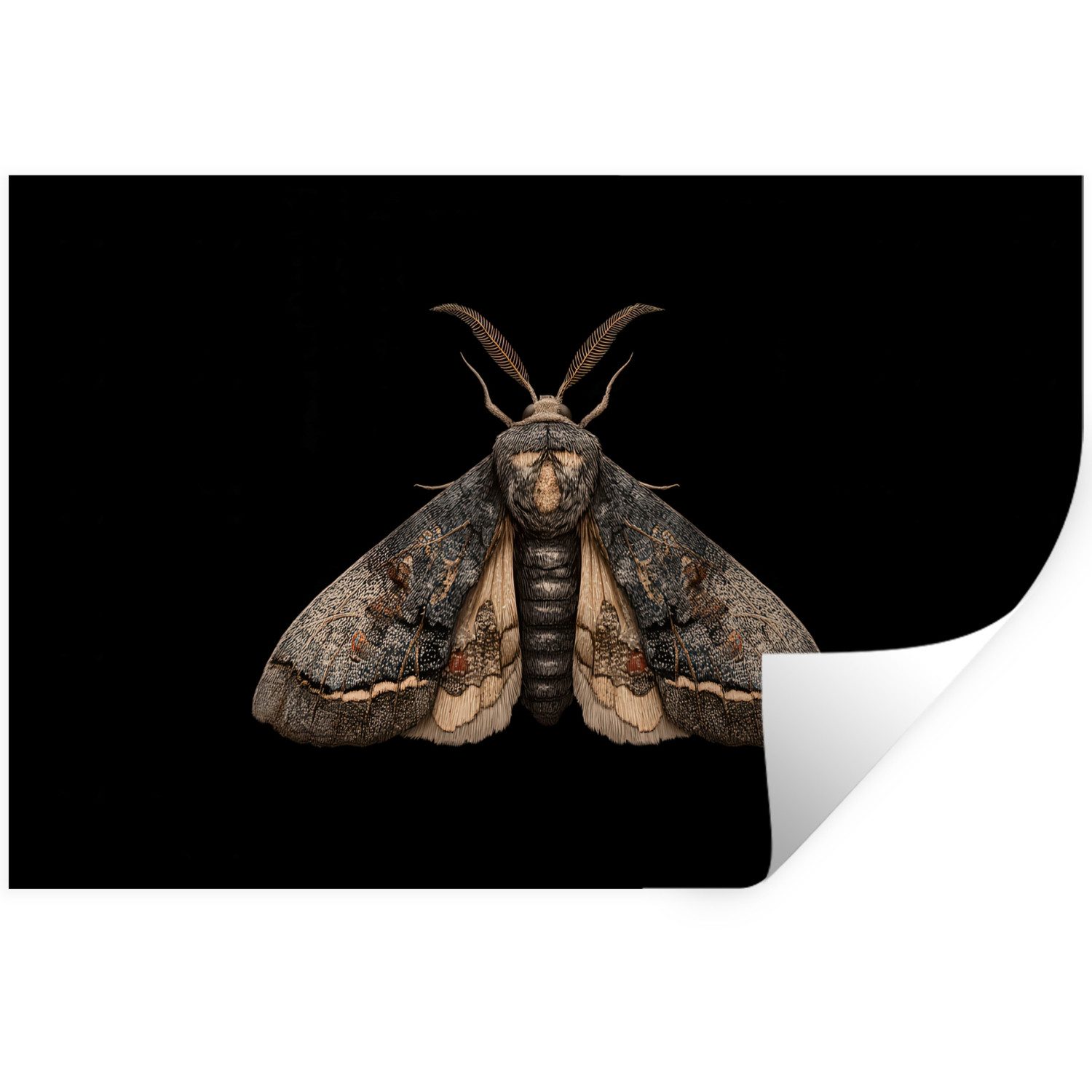 MuchoWow Wandsticker Motte - Blättrig - Grau (1 St), Wanddeko, Aufkleber, Wandtattoo, 120x80 cm