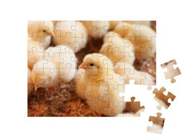 puzzleYOU Puzzle Junge gelbe Küken im Stroh, 48 Puzzleteile, puzzleYOU-Kollektionen Hühner & Küken
