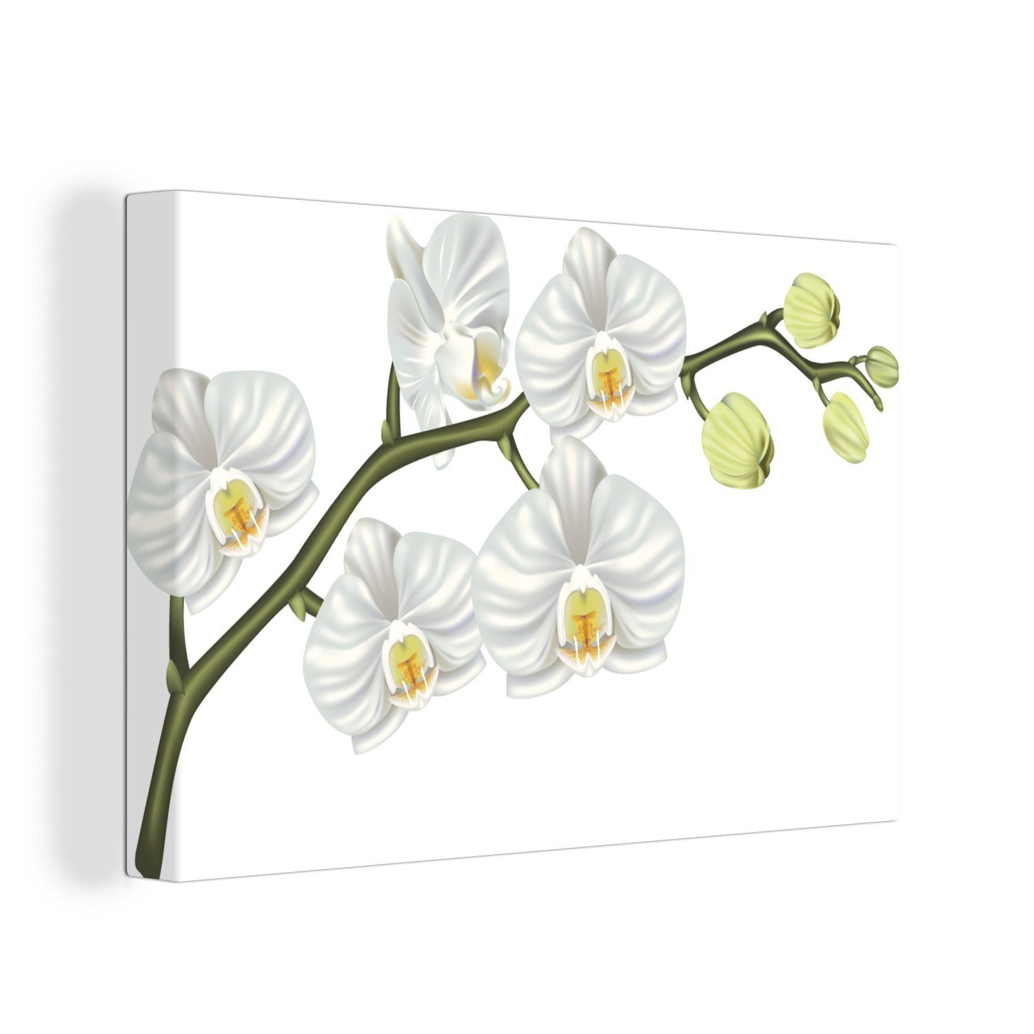OneMillionCanvasses® Leinwandbild Eine Illustration einer weißen Orchidee, (1 St), Wandbild Leinwandbilder, Aufhängefertig, Wanddeko, 30x20 cm