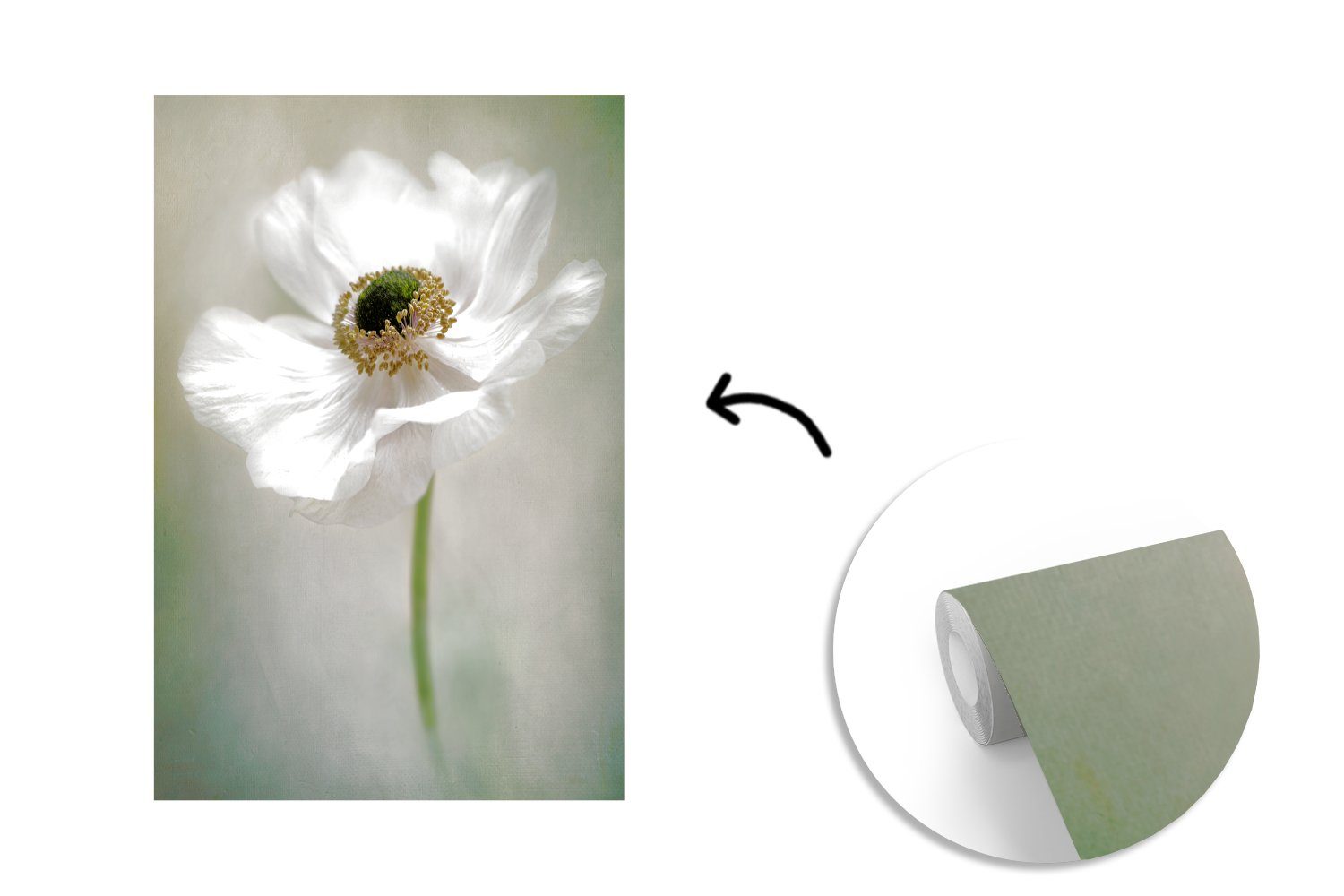MuchoWow Fototapete Blumen - Weiß, Wandtapete St), - Natur Vinyl für Matt, Wohnzimmer, Tapete - (3 Montagefertig Anemone bedruckt