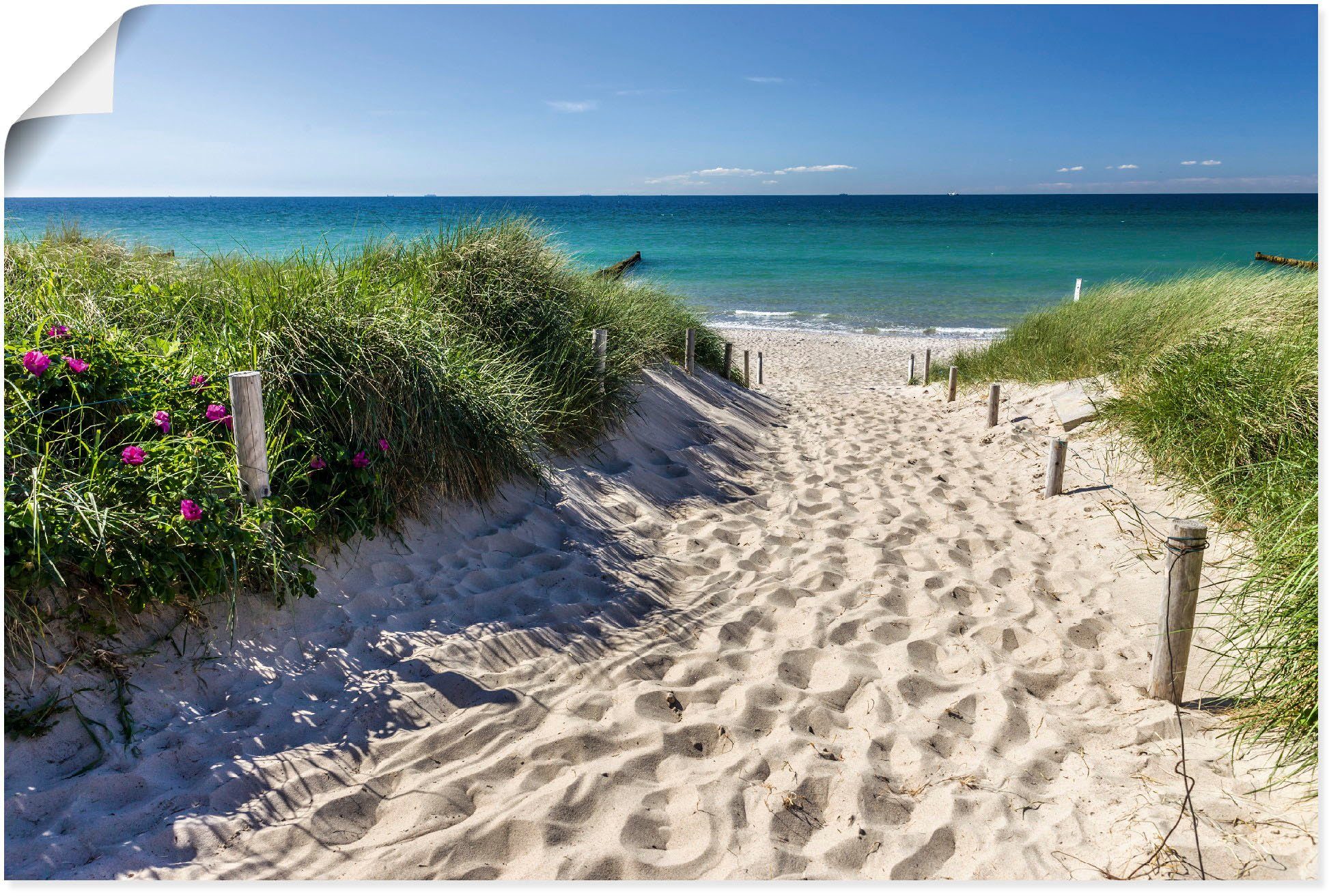 Artland Wandbild Weg zum Strandbilder Poster als (1 in oder versch. Leinwandbild, Alubild, Größen St), der Wandaufkleber an Ostsee, Strand