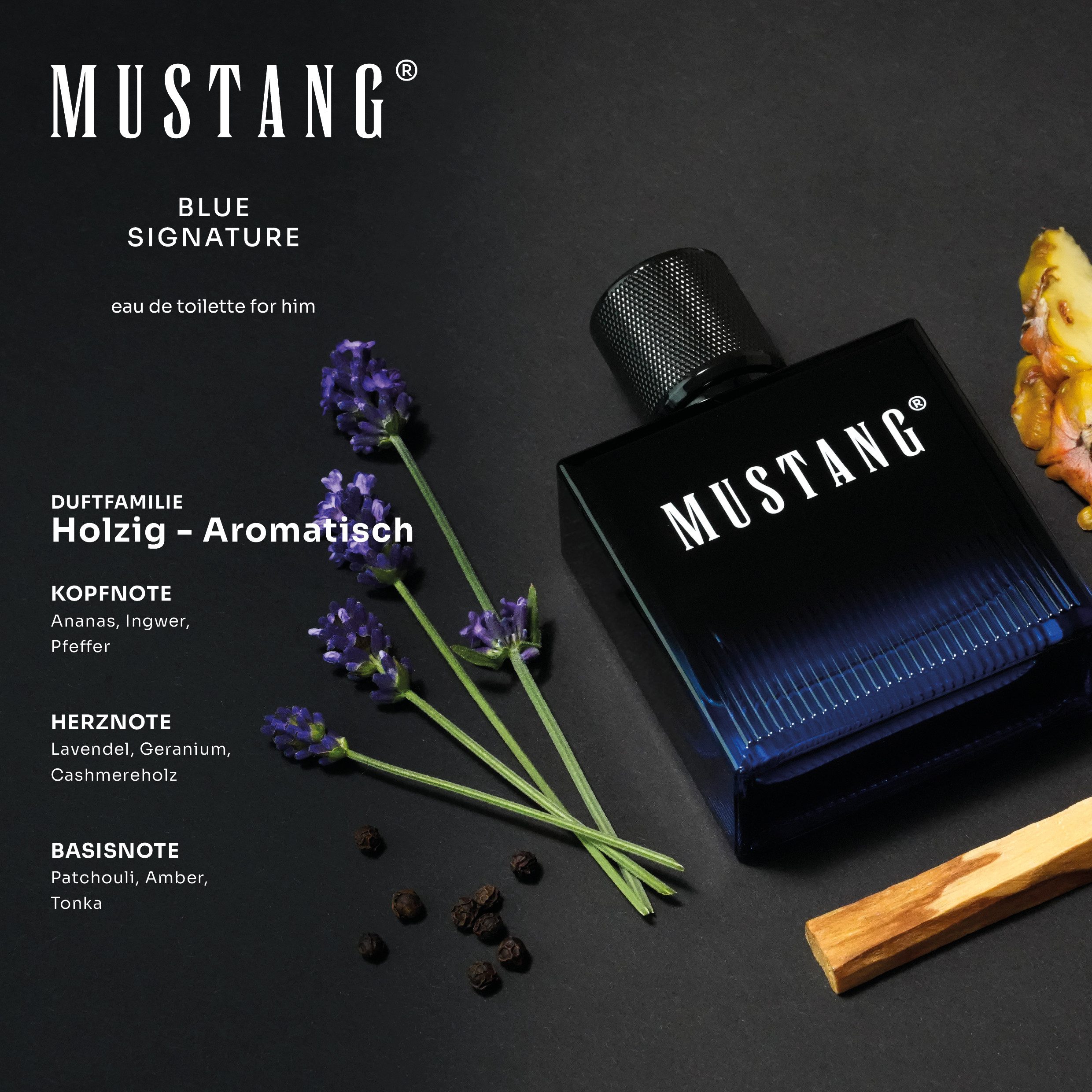 MUSTANG Eau de Toilette MUSTANG BLUE SIGNATURE FOR HIM EDT, 50ml, fruchtig-holziger Duft