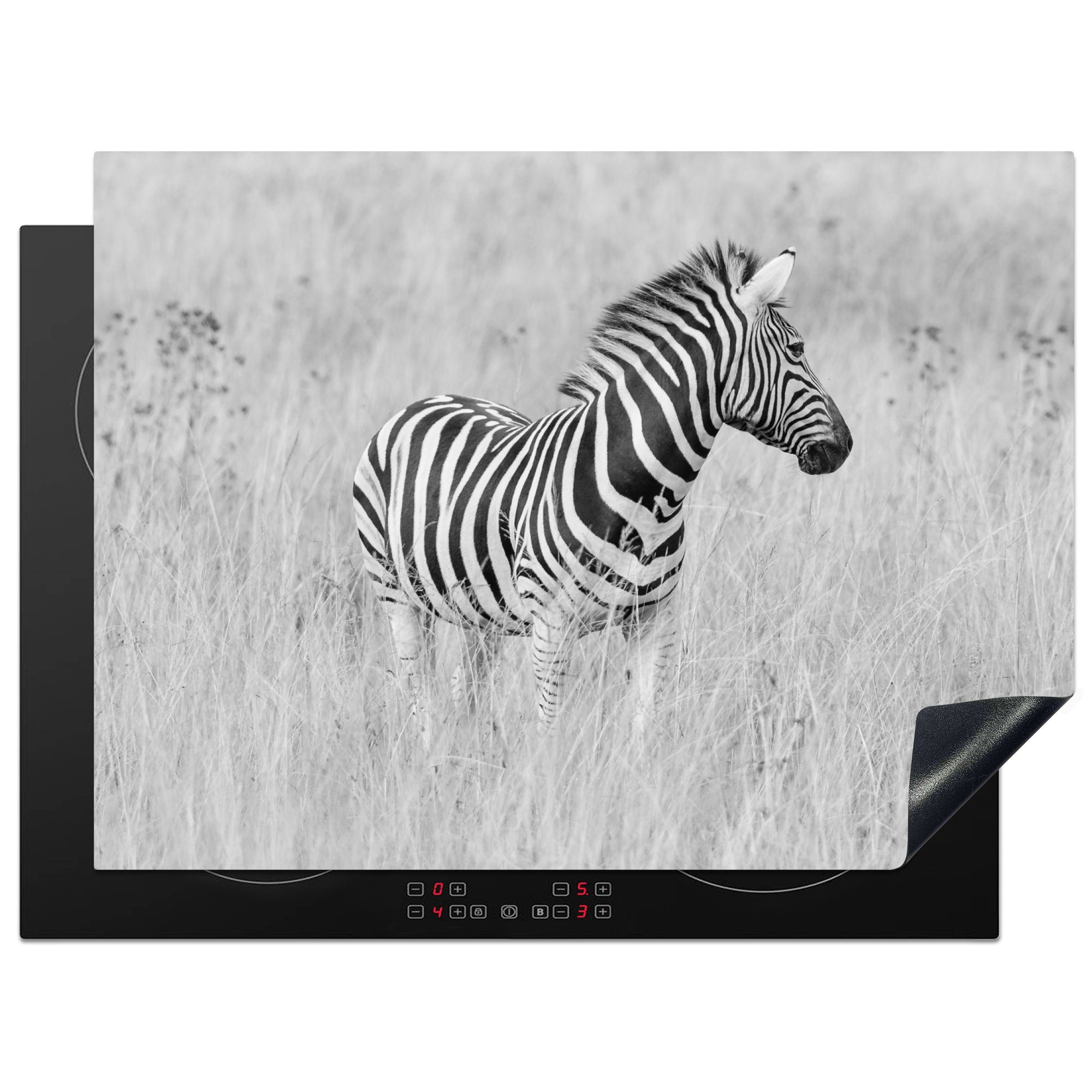 MuchoWow Herdblende-/Abdeckplatte Zebra auf der Wiese, Vinyl, (1 tlg), 70x52 cm, Mobile Arbeitsfläche nutzbar, Ceranfeldabdeckung