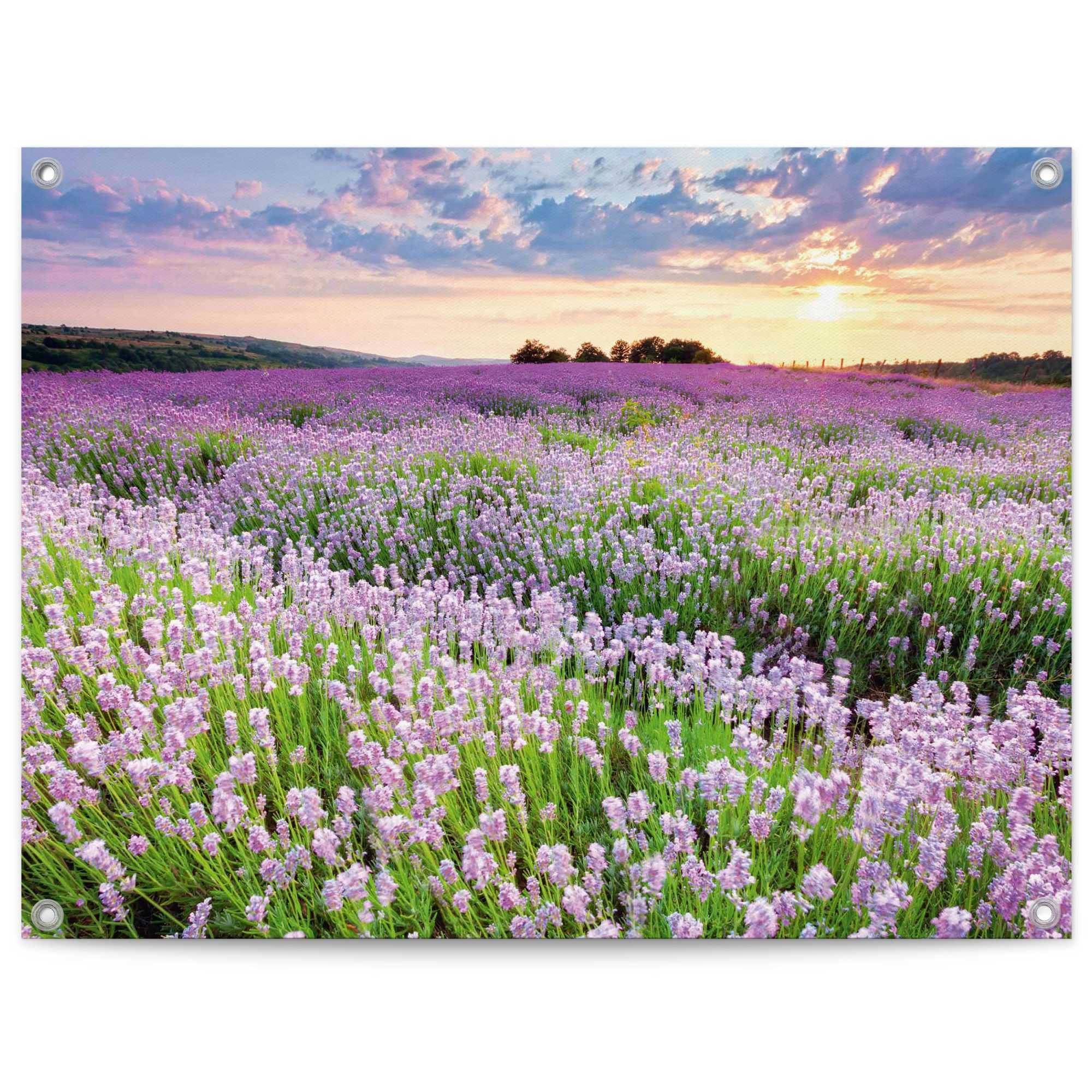 Reinders! Poster Lavender Field