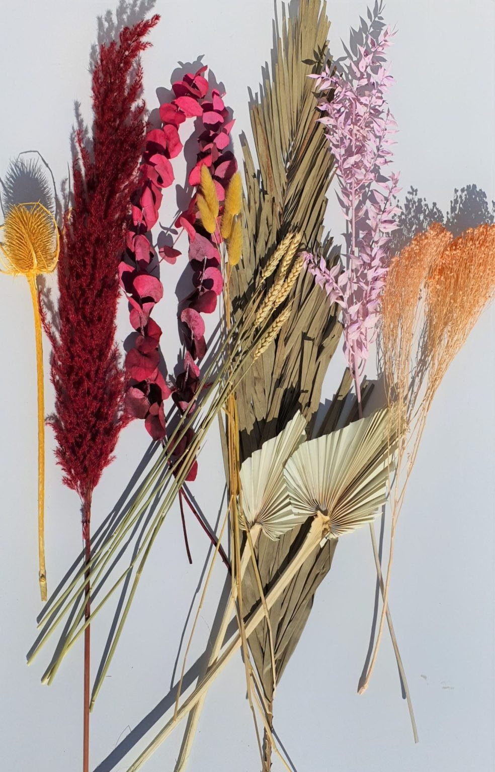Trockenblume »DIY Kit autumn«, Everflowers, Höhe 100 cm-HomeTrends