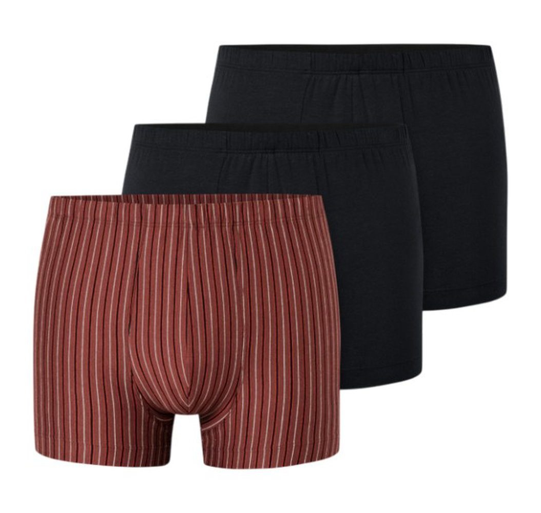 Schiesser Boxershorts Unterwäsche 95/5 Cotton mehrfarbig schwarz/rotbraun/gestreift