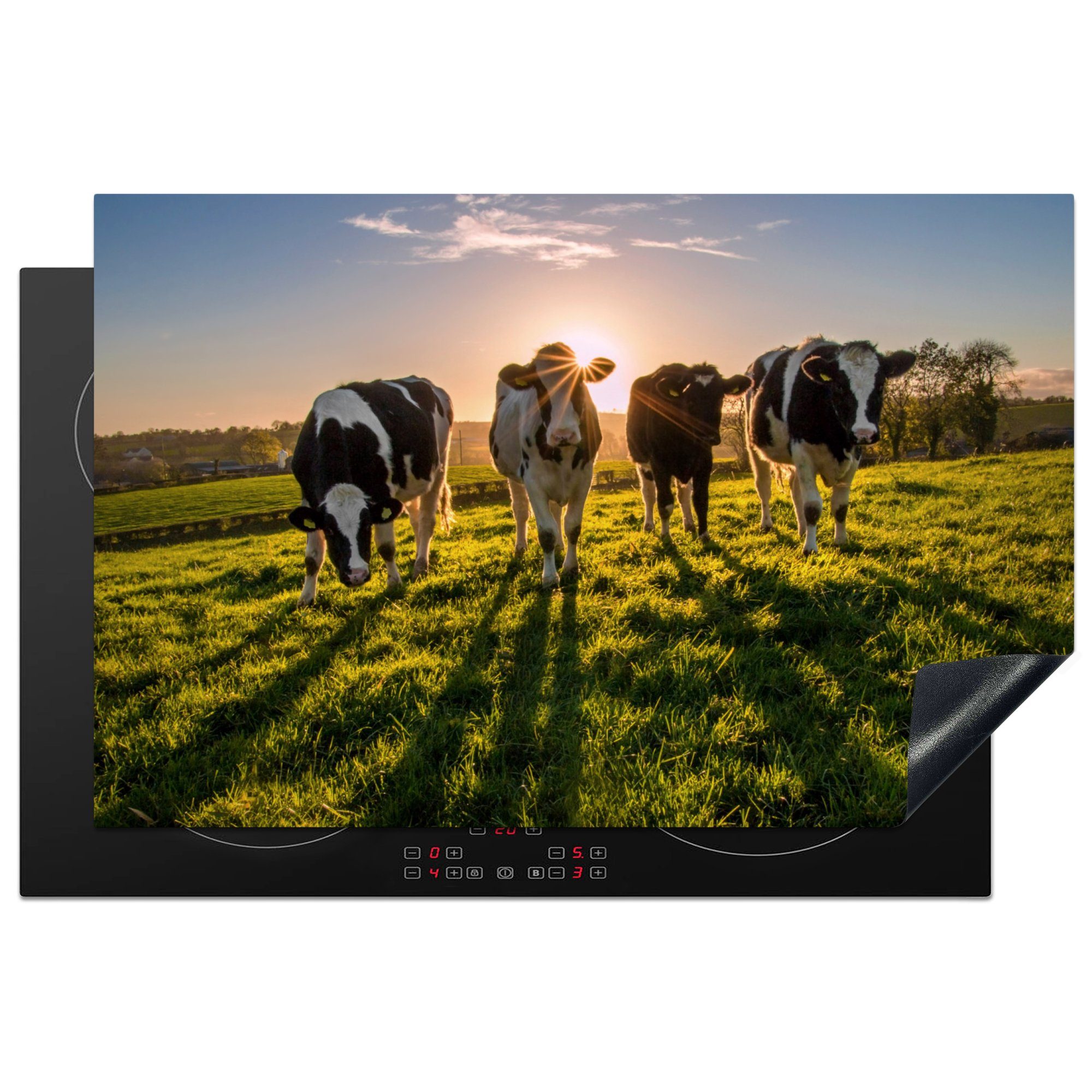 81x52 Bauernhof, für Schutz Induktionskochfeld - - - Tiere (1 Sonne - Gras tlg), Vinyl, MuchoWow Kühe küche, die Herdblende-/Abdeckplatte cm, Ceranfeldabdeckung
