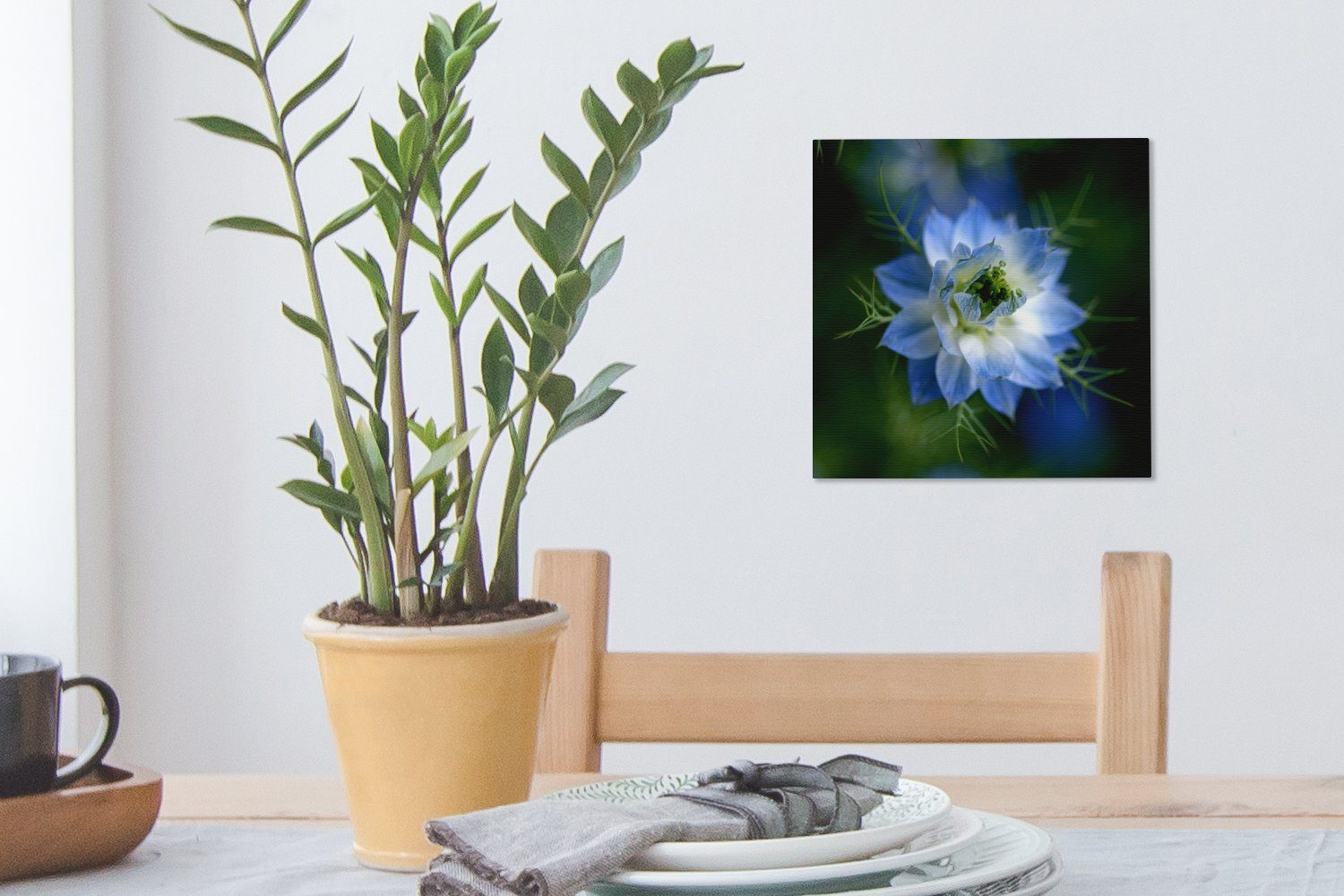 OneMillionCanvasses® Leinwandbild Eine Schlafzimmer bunte Leinwand Bilder für St), Wohnzimmer (1 Nigellapflanze
