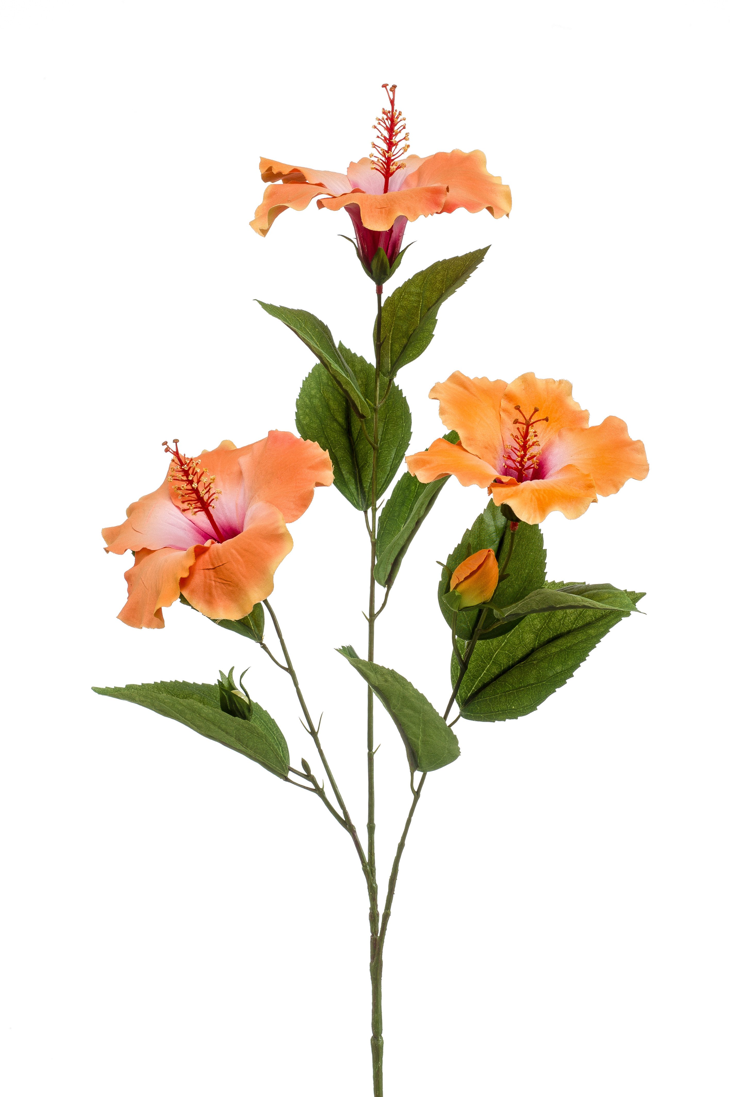 Kunstblume Orange, Durchmesser 13 cm, Emerald, günstig online kaufen
