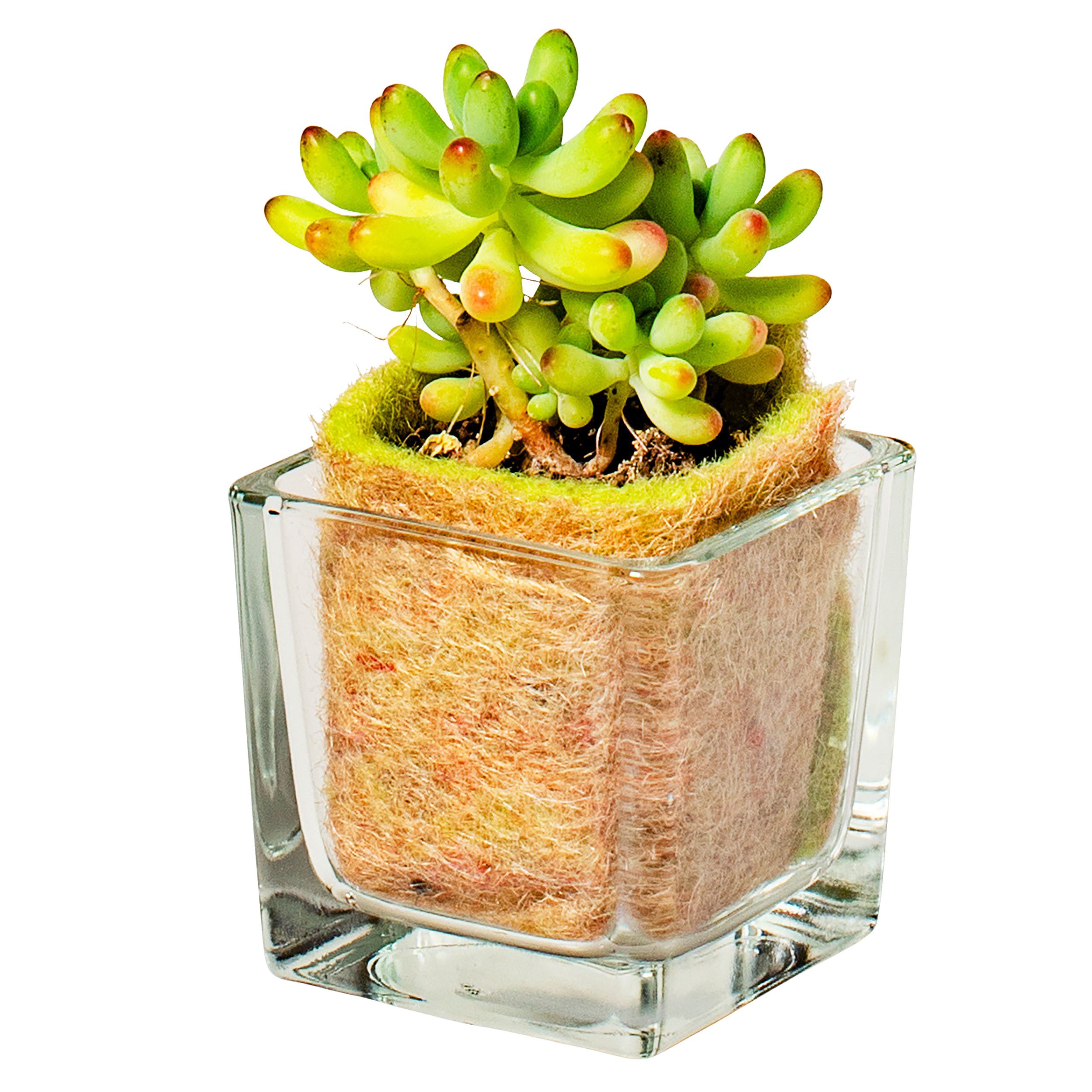 Annastore Windlicht 6 x Glaswürfel Windlicht Teelichthalter Kerzenglas Vase Glaswindlicht