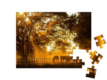 puzzleYOU Puzzle Pferde beim Grasen im goldenen Abendlicht, 48 Puzzleteile, puzzleYOU-Kollektionen Pferde, Westernpferde