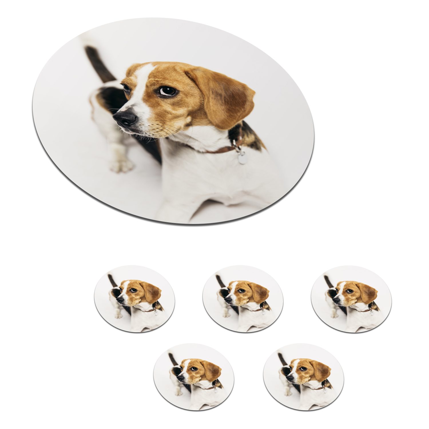 MuchoWow Glasuntersetzer Welpe - Beagle - Braun, Zubehör für Gläser, 6-tlg., Getränkeuntersetzer, Tassenuntersetzer, Korkuntersetzer, Tasse, Becher