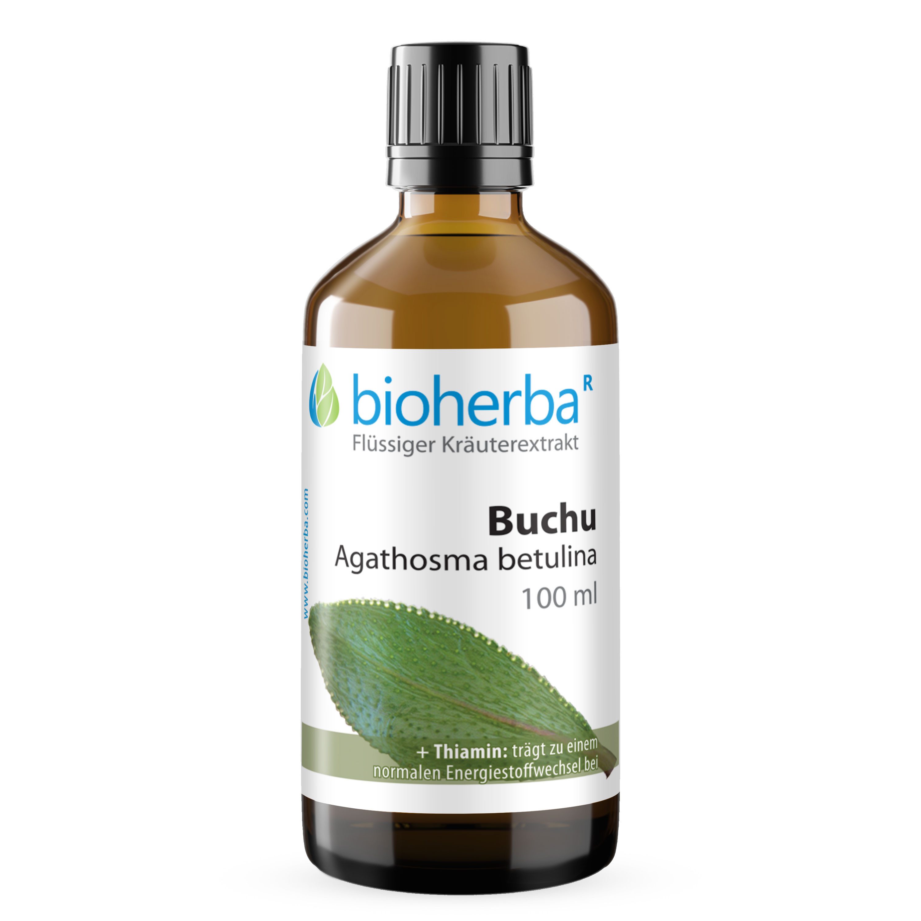 BIOHERBA R Bioherba Buchu Agathosma betulina Tropfen Tinktur 100 ml Tropfen, 1 er