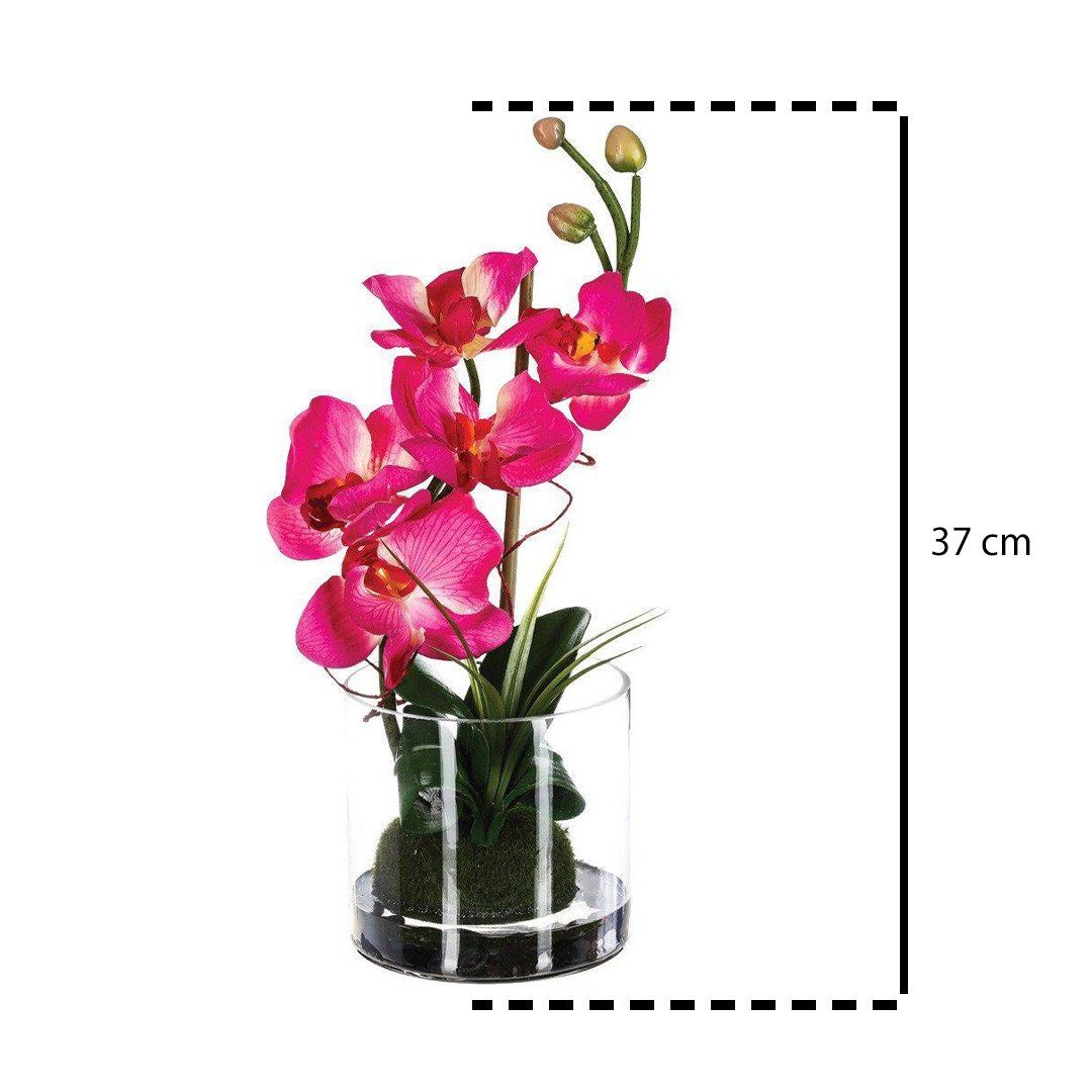 Kunstpflanze Zimmerpflanze, Atmosphera Créateur d'intérieur, Höhe günstig online kaufen
