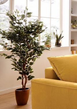 Kunstpflanze Ficus Benjamini Ficus Benjamini, Creativ green, Höhe 150 cm