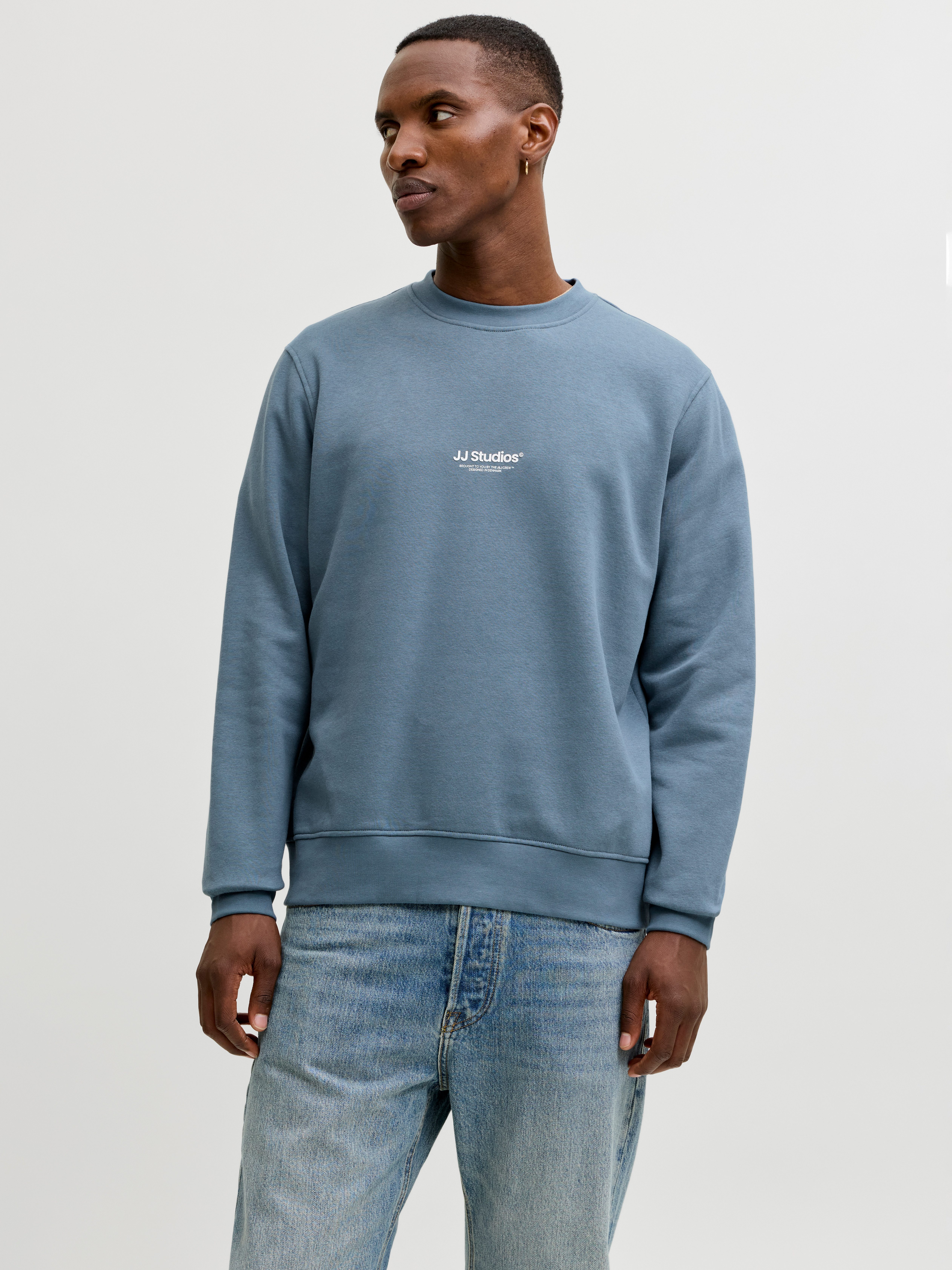 Jack & Jones Sweatshirt JJESOHO SWEAT CREW NECK NOOS mit stylischem Print günstig online kaufen