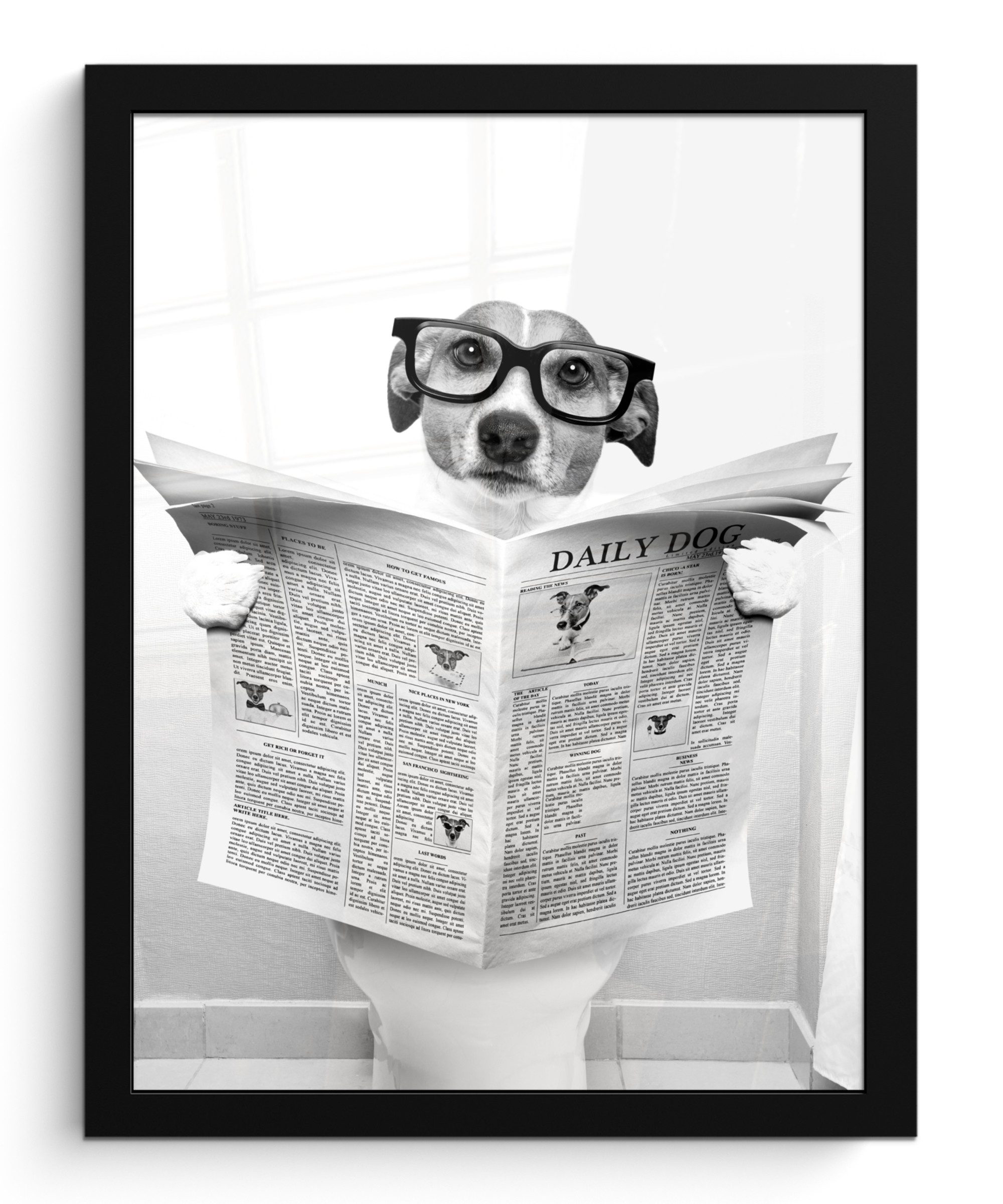 MuchoWow Poster Hund - Zeitung - günstig online kaufen