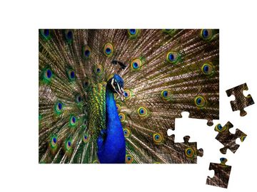 puzzleYOU Puzzle Pfauenschwanz: elegantes buntes Pfauenporträt, 48 Puzzleteile, puzzleYOU-Kollektionen Pfauen, Tiere in Dschungel & Regenwald