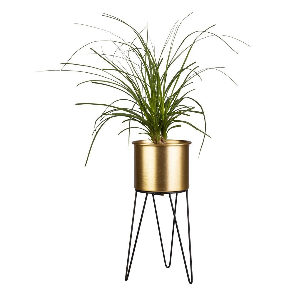 MICA Blumentopf Pflanztopf mit Ständer - günstig online kaufen