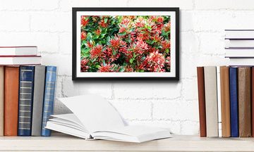 WandbilderXXL Bild mit Rahmen Green Red Nature, Blumen, Wandbild, in 4 Größen erhältlich