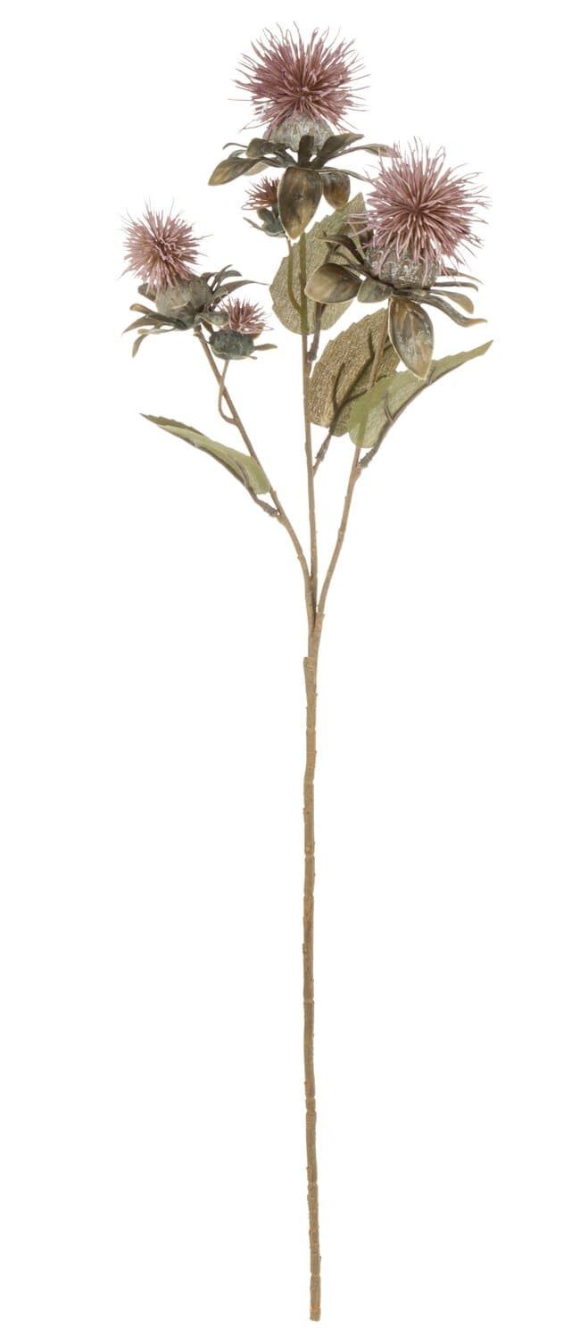 Kunstzweig Deko Zweig Färberdistel VALDISOLI, Trockenoptik, Altrosa, 55cm Distel (Färberdistel), artplants, Höhe 55.0 cm