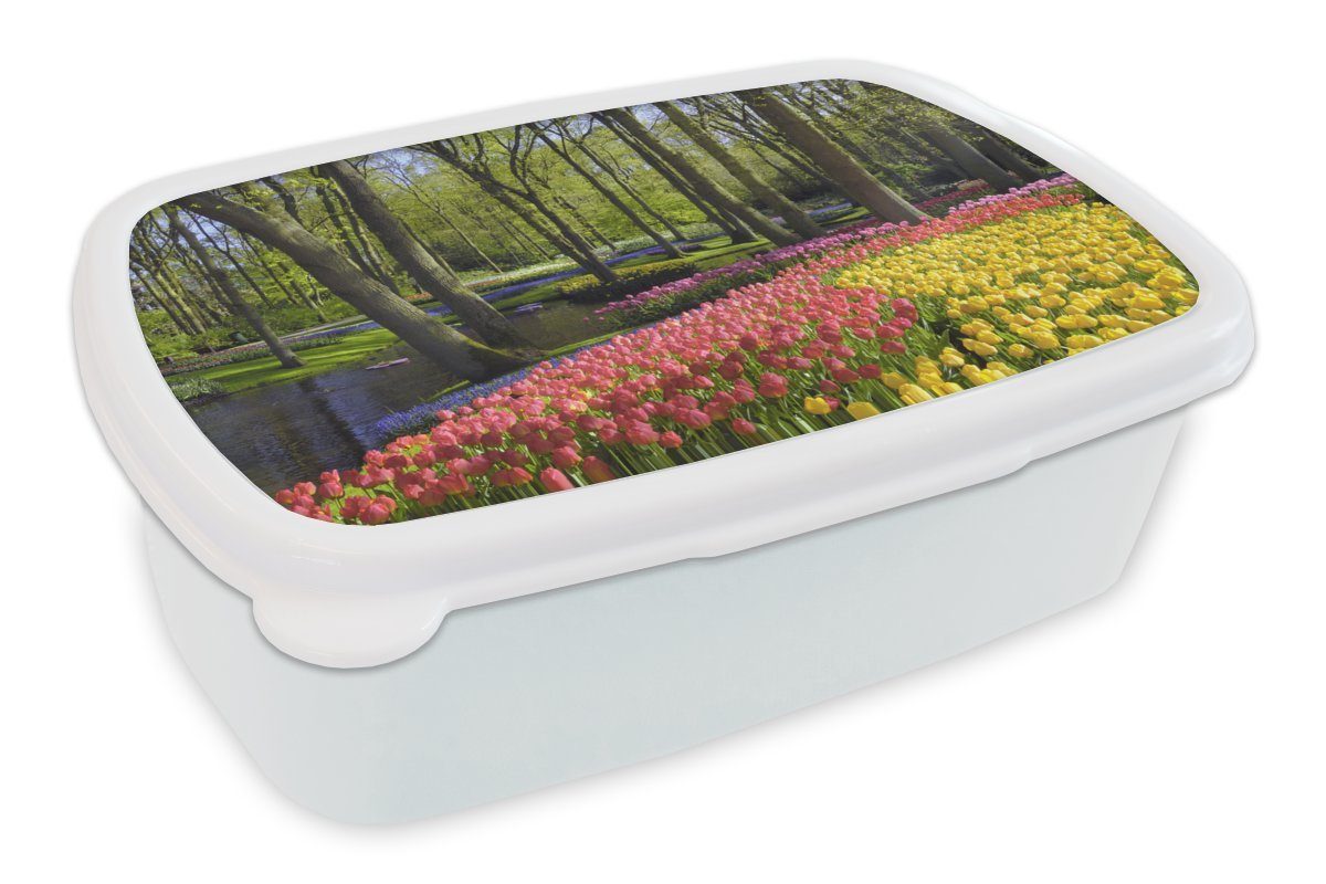 MuchoWow Lunchbox Blumenbeete entlang eines Teiches im Keukenhof in den Niederlanden, Kunststoff, (2-tlg), Brotbox für Kinder und Erwachsene, Brotdose, für Jungs und Mädchen weiß