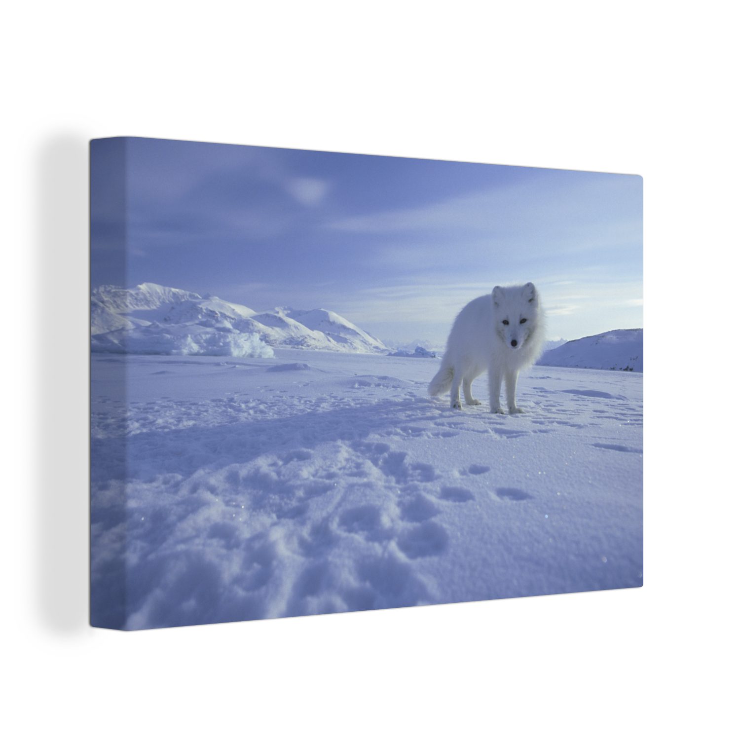 Fuchs Leinwandbilder, Schnee Wandbild Aufhängefertig, - Wanddeko, OneMillionCanvasses® cm 30x20 (1 St), Berge, - bunt Leinwandbild