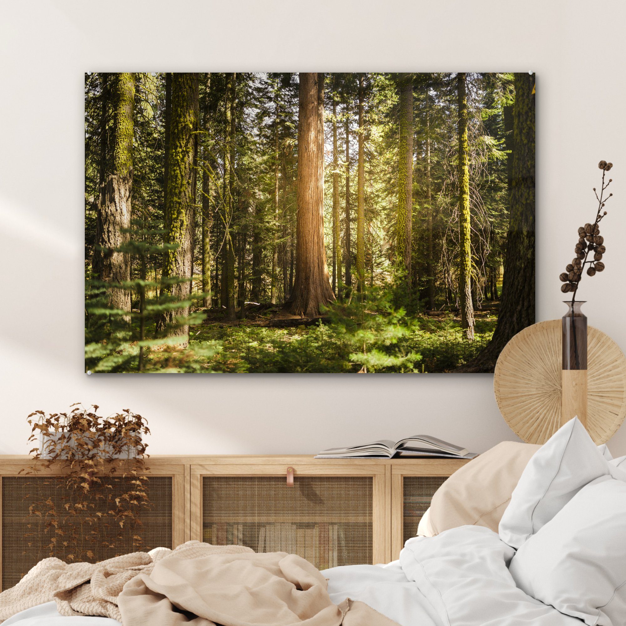 Sequoia den, Schlafzimmer in Wohnzimmer der & Park entlang Acrylglasbild MuchoWow St), (1 National im Acrylglasbilder Sonnenstrahlen Bäume