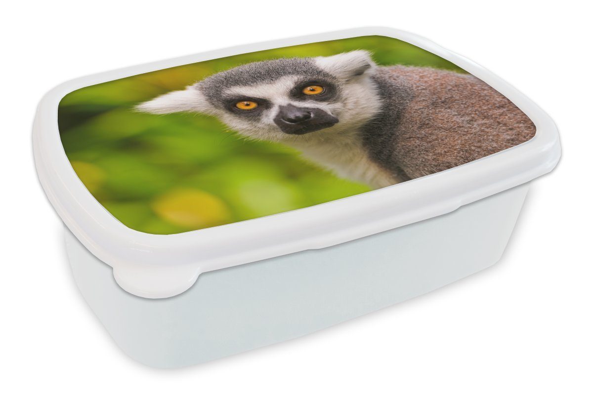 für Kinder und Tier, (2-tlg), Mädchen Erwachsene, weiß und Ringschwanzlemur für Kunststoff, - Affe - Lunchbox Brotbox MuchoWow Brotdose, Jungs