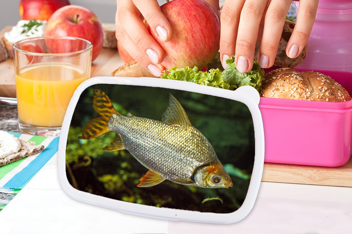 MuchoWow Lunchbox Fisch - Wasser Brotdose Mädchen, (2-tlg), Pflanze, Kunststoff, - Erwachsene, Kunststoff Snackbox, Kinder, rosa für Brotbox