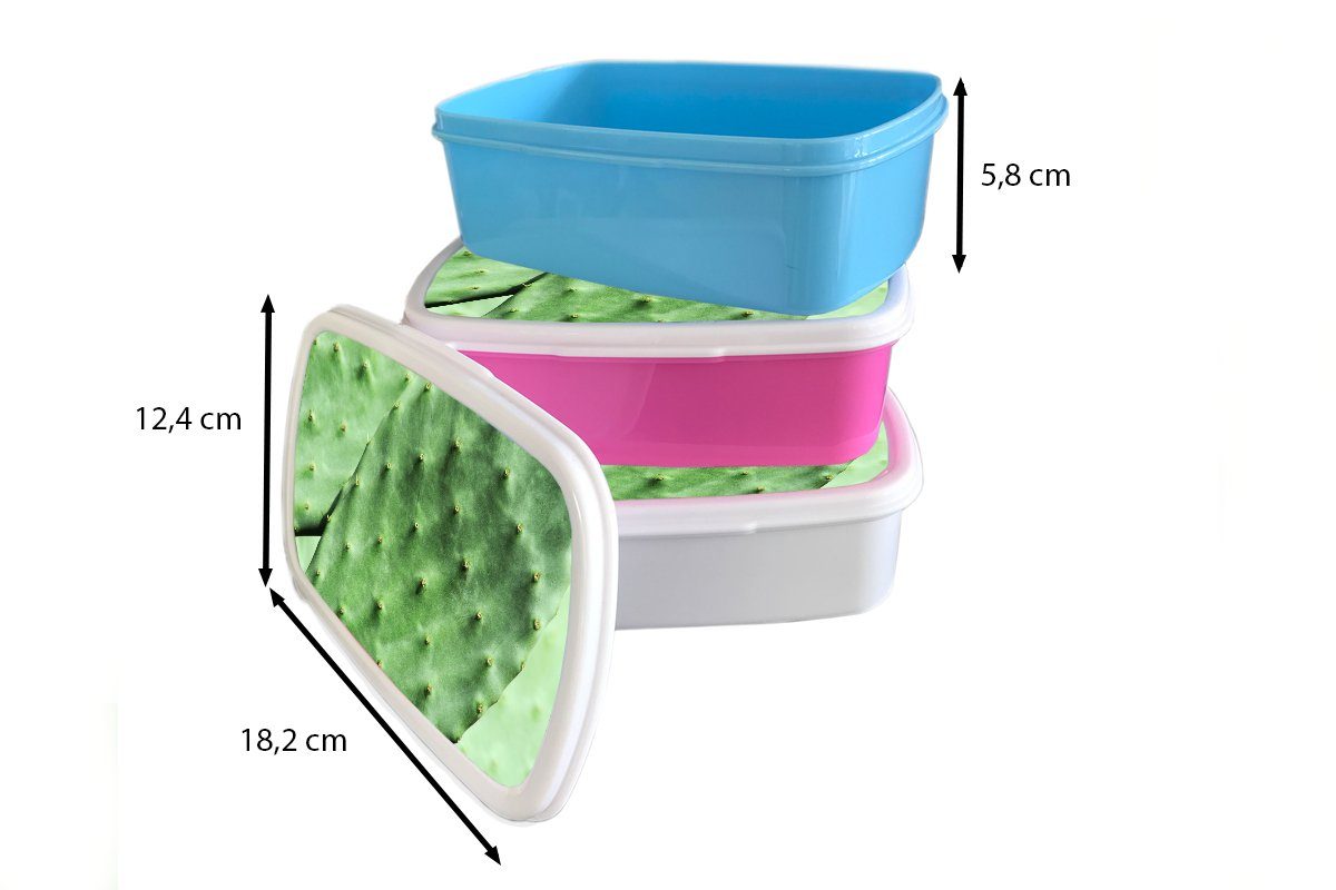 MuchoWow Lunchbox Barbary grün, für Snackbox, rosa Brotdose Brotbox (2-tlg), Minze Erwachsene, Mädchen, Kaktus Kunststoff, Kunststoff Blatt Kinder