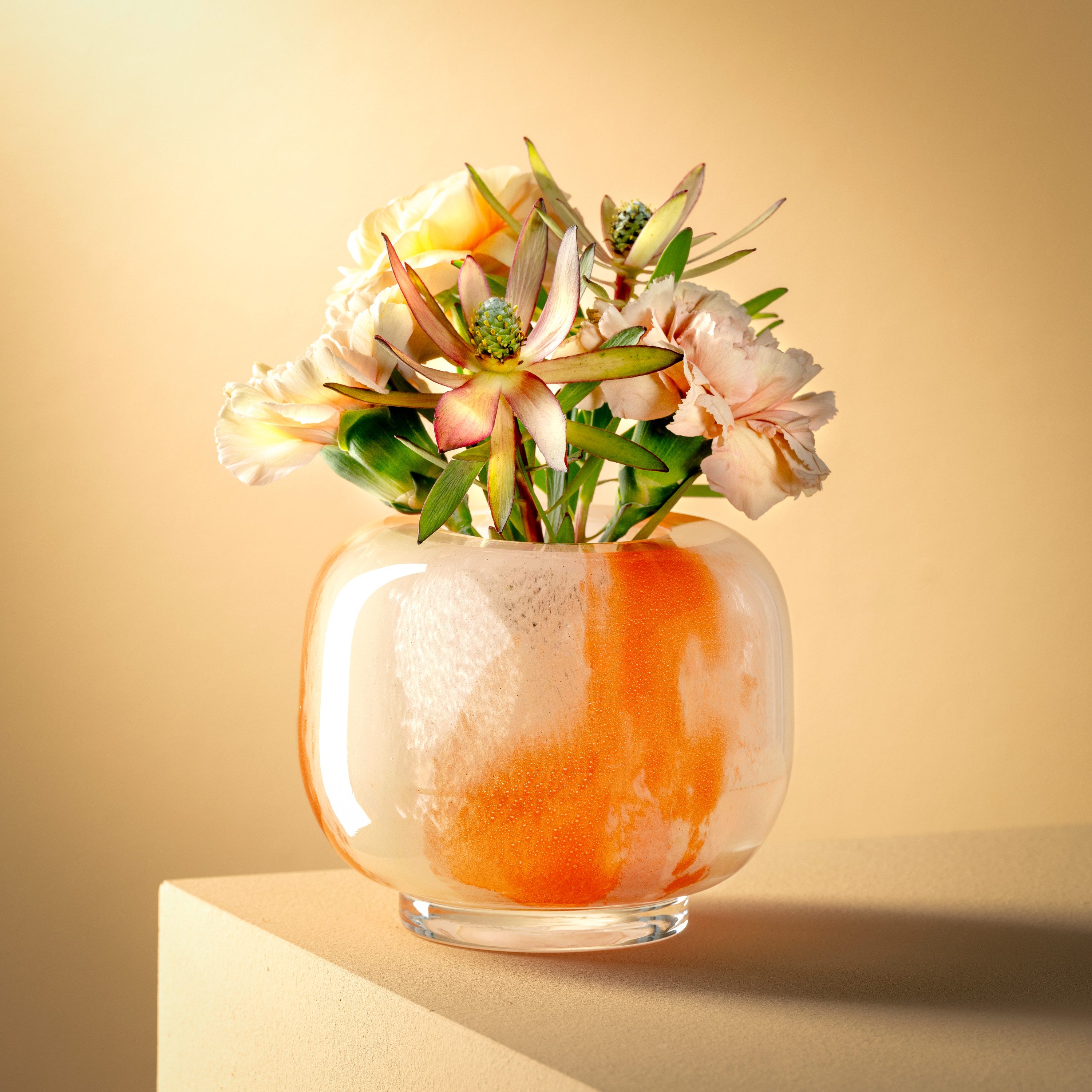 LEONARDO Dekovase Vase CIPRIA DUE (1 günstig online kaufen