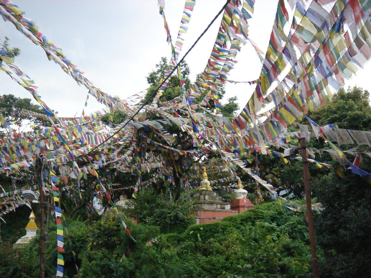 Tibetische Gebetsfahne in Guru-Shop 2,60 m (wimpel Wimpelkette 21*21 Längen.. lang cm) verschiedenen