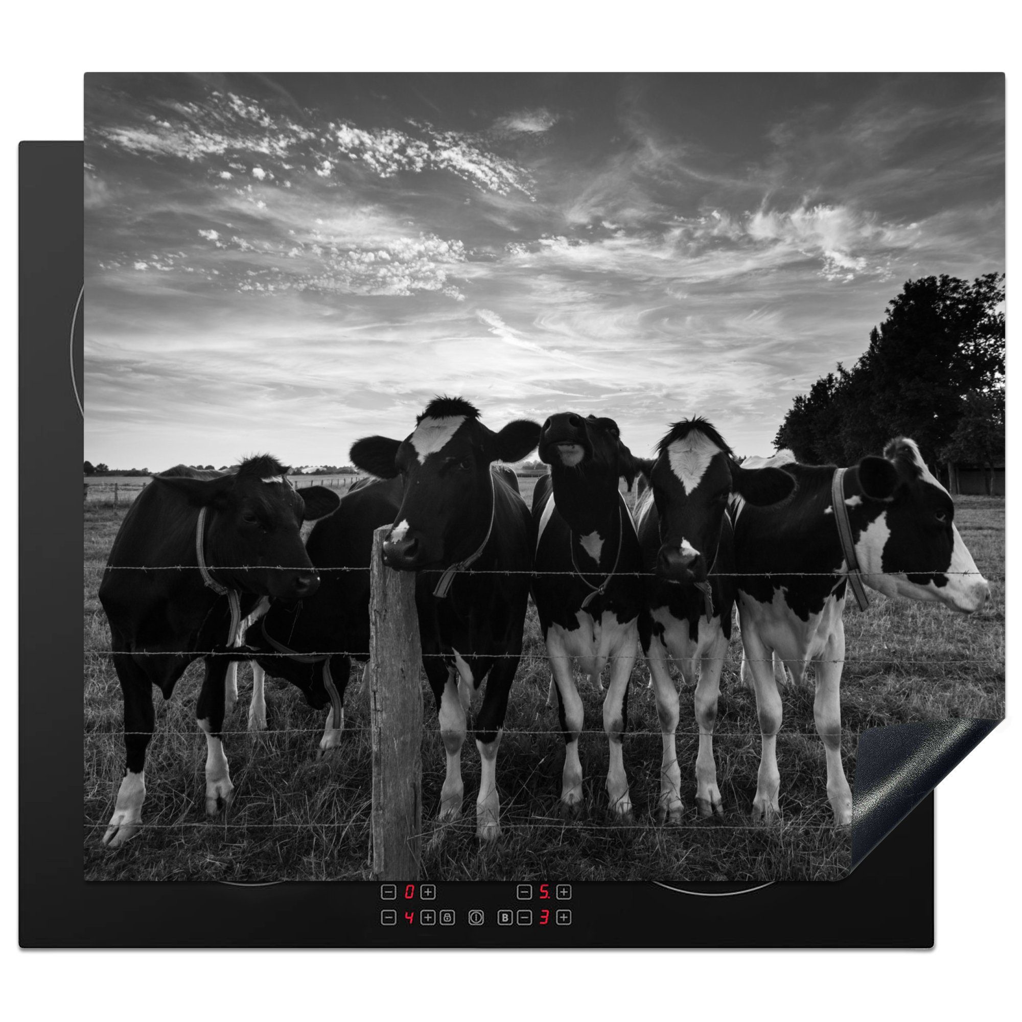 MuchoWow Herdblende-/Abdeckplatte Kühe - Bauernhof - Tiere - Schwarz - Weiß, Vinyl, (1 tlg), 59x51 cm, Induktionsschutz, Induktionskochfeld, Ceranfeldabdeckung