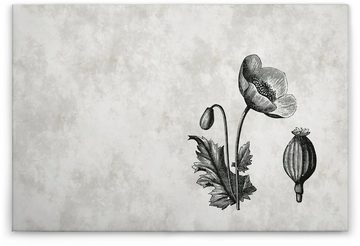 A.S. Création Leinwandbild sketchpad 6, (1 St), Schwarz-Weiß Zeichnung Vogel Floral Keilrahmen Bild