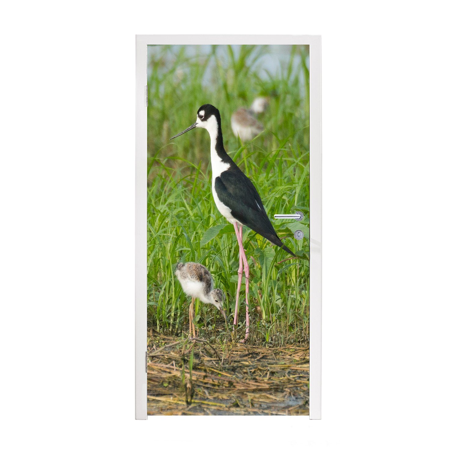 MuchoWow Türtapete Vogel - Gras - Küken - Sumpf, Matt, bedruckt, (1 St), Fototapete für Tür, Türaufkleber, 75x205 cm