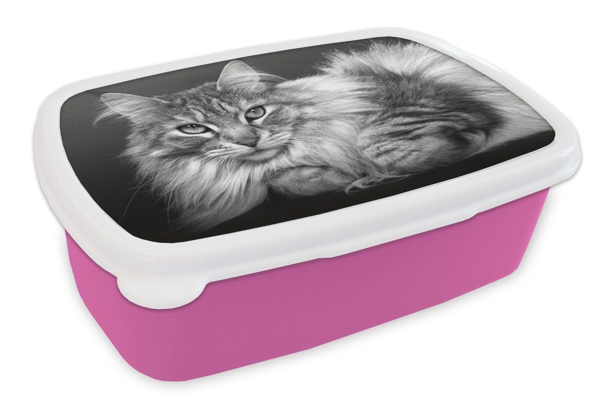 MuchoWow Lunchbox Eine schöne liegende Maine Coon Katze - schwarz und weiß, Kunststoff, (2-tlg), Brotbox für Erwachsene, Brotdose Kinder, Snackbox, Mädchen, Kunststoff rosa